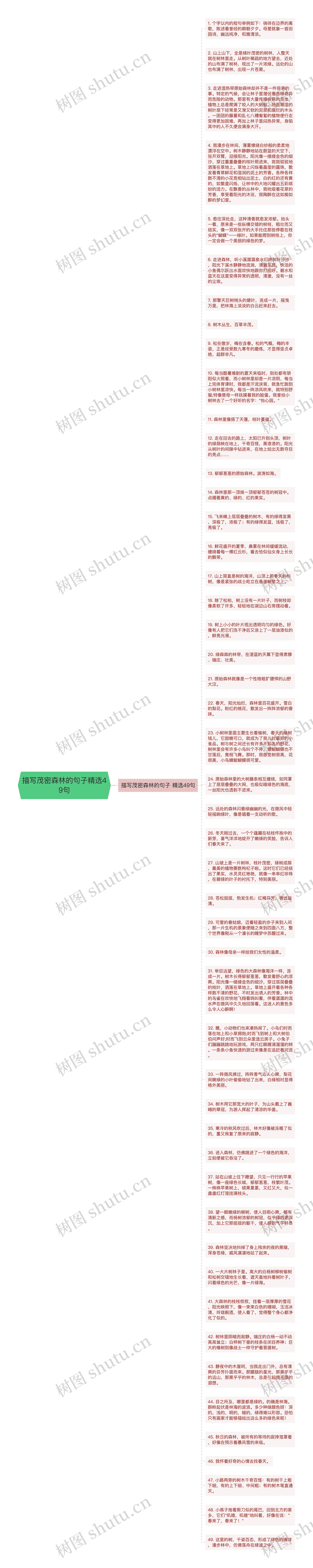 描写茂密森林的句子精选49句思维导图