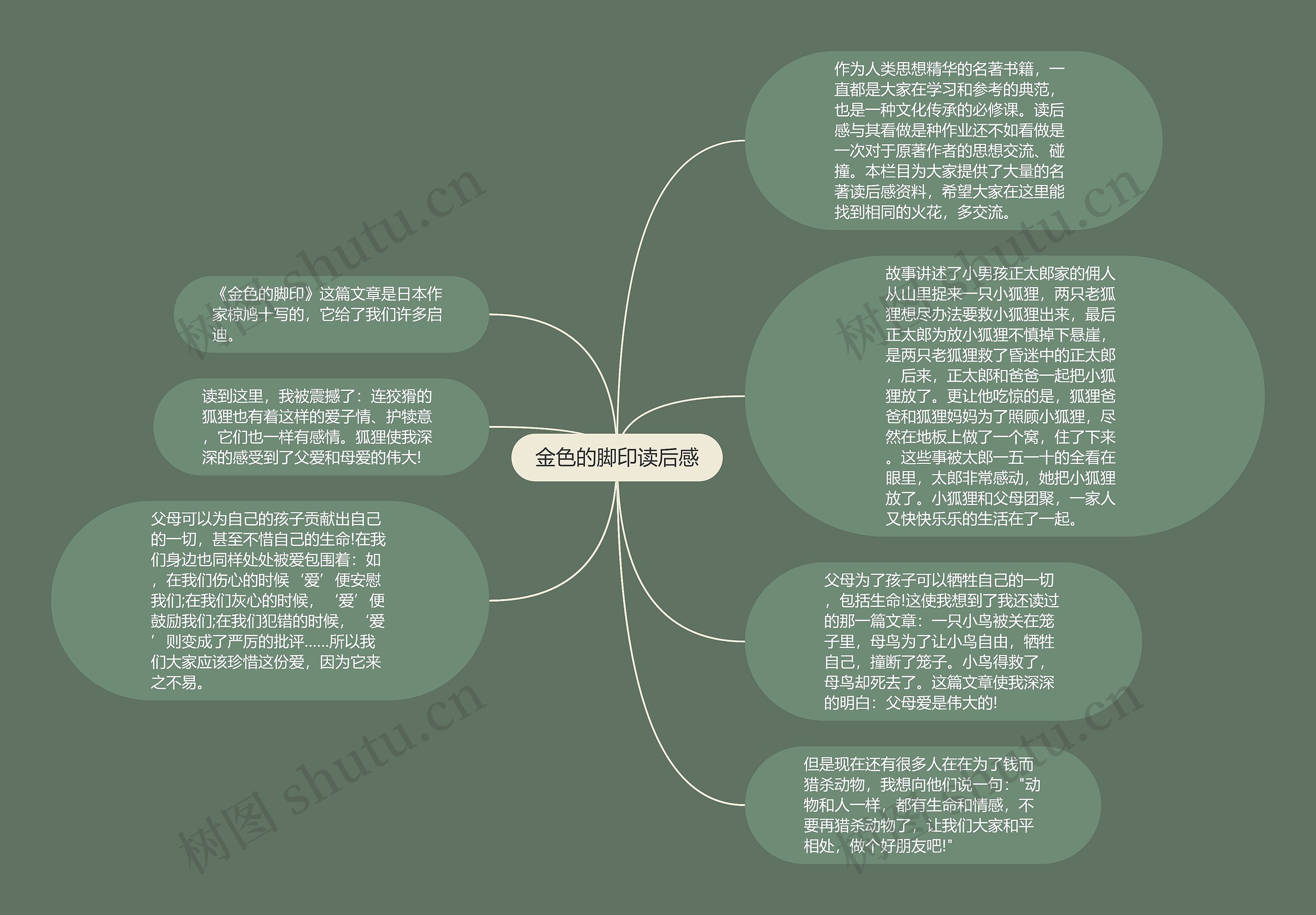 金色的脚印读后感思维导图