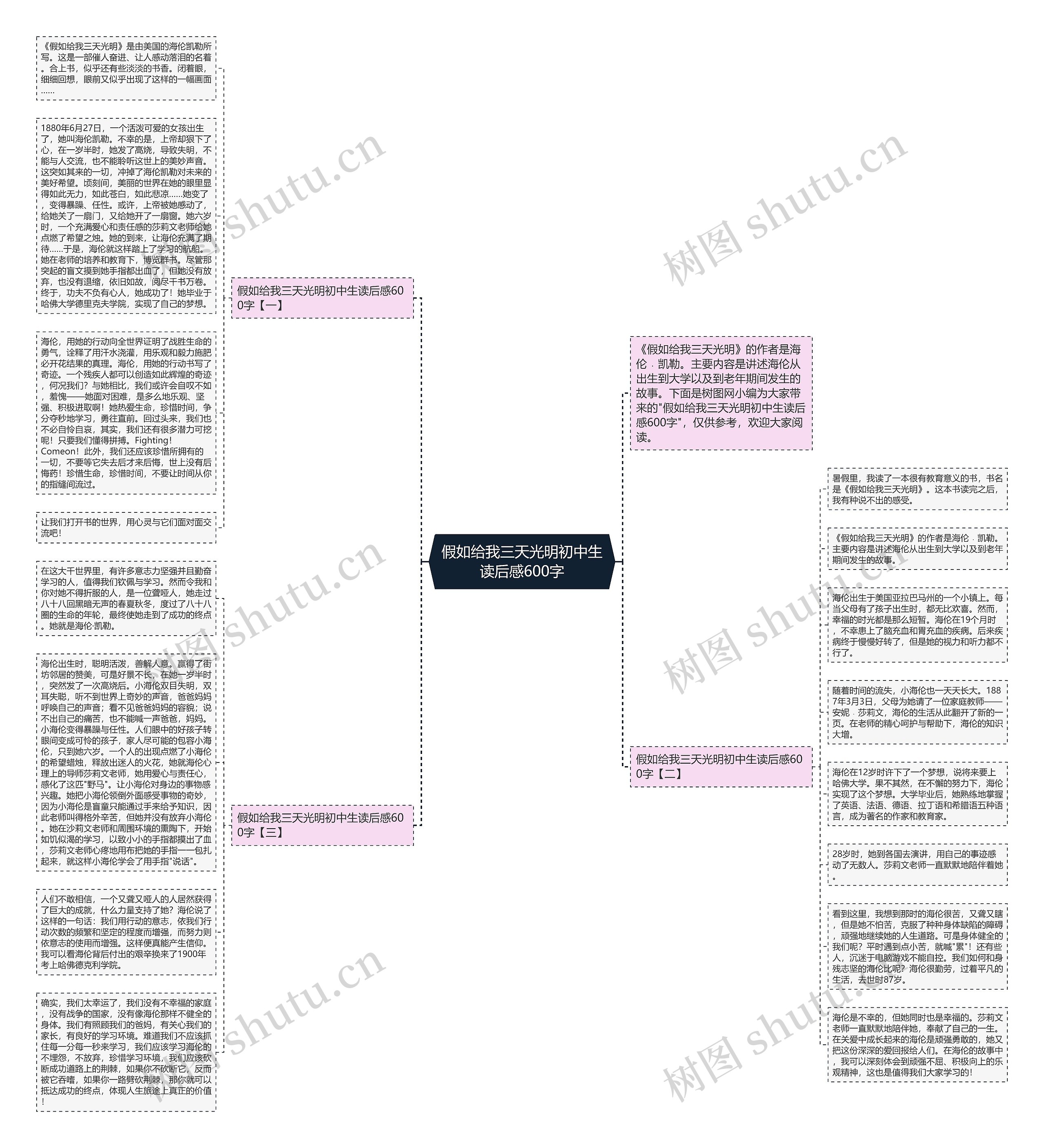 假如给我三天光明初中生读后感600字思维导图