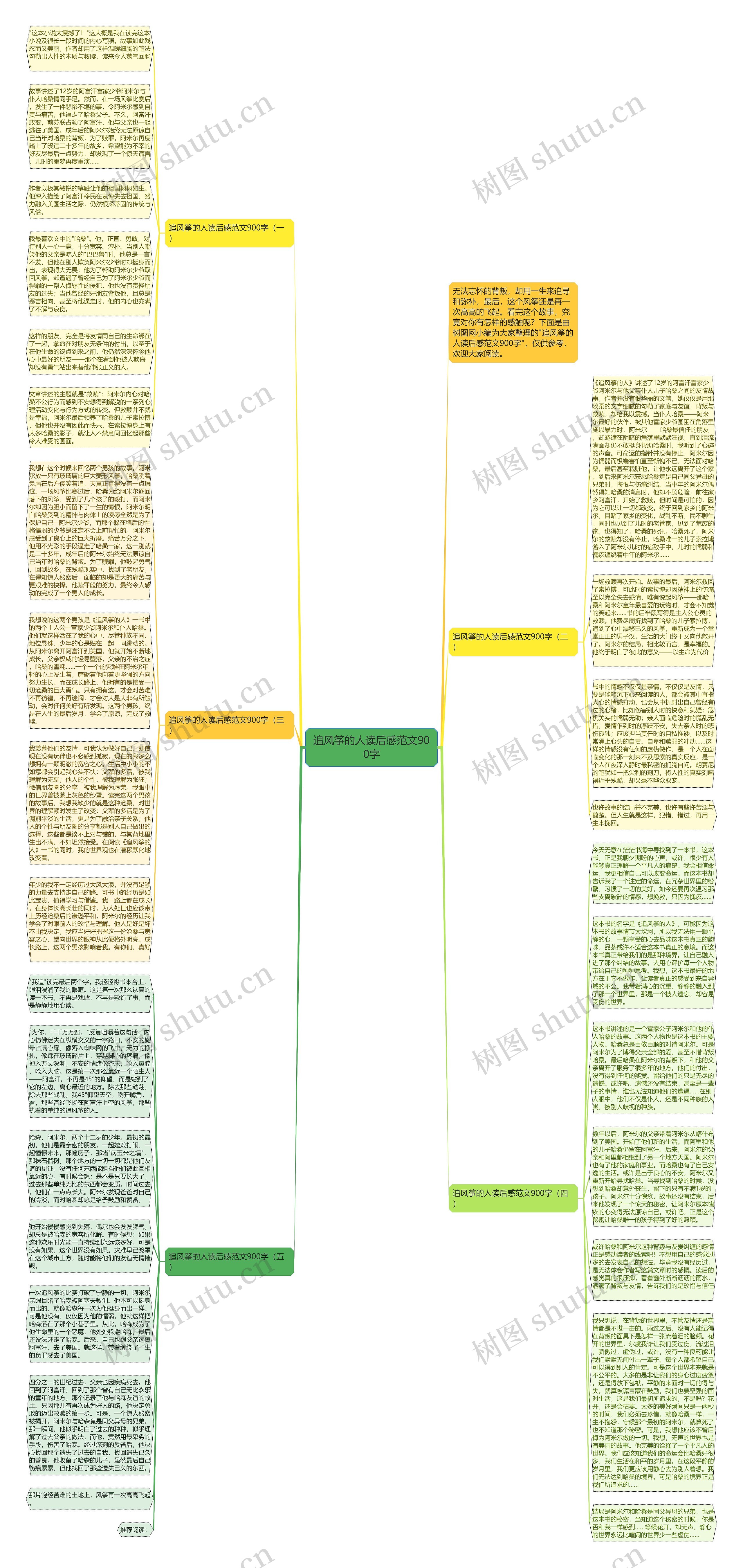 追风筝的人读后感范文900字思维导图