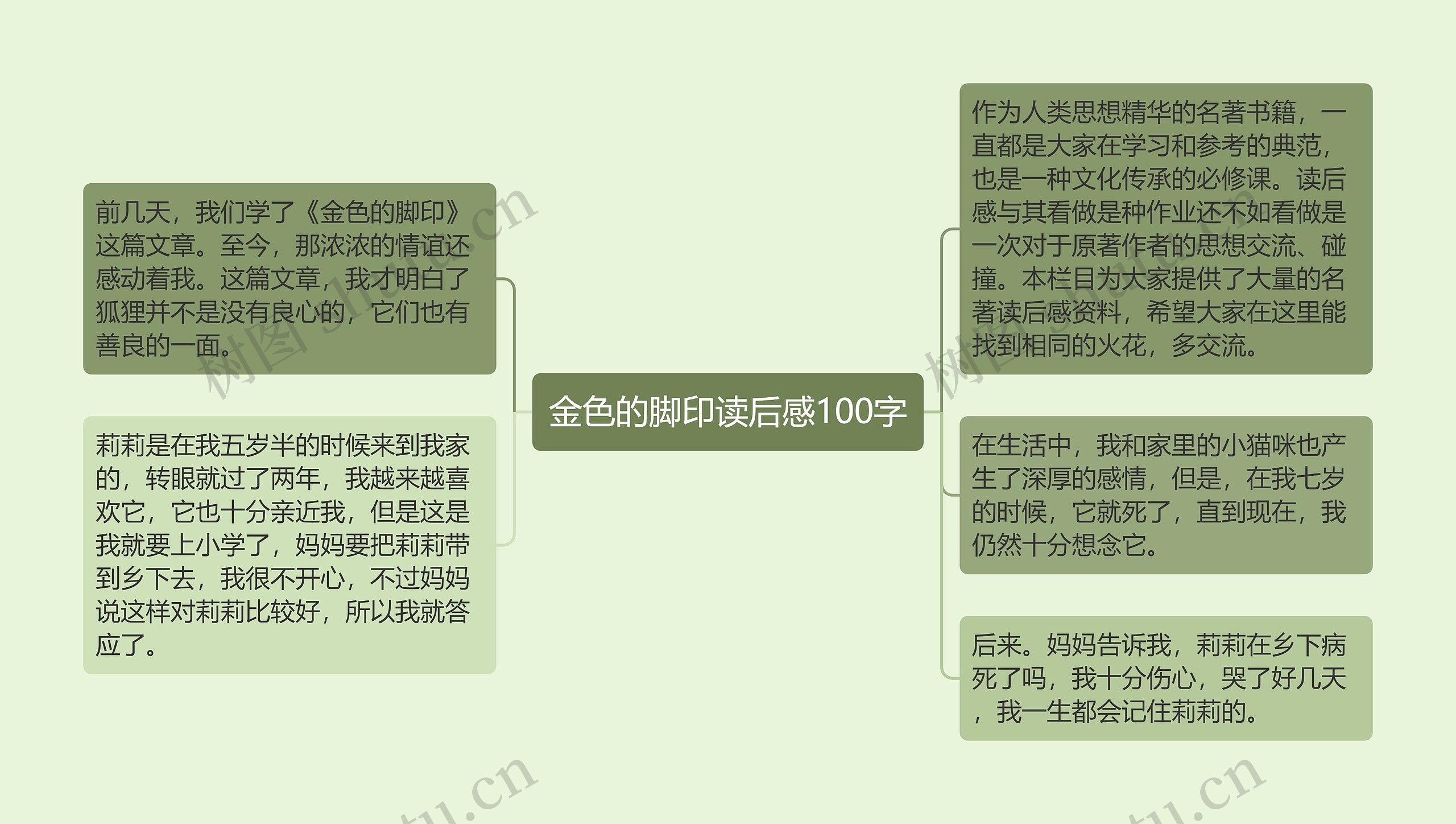 金色的脚印读后感100字