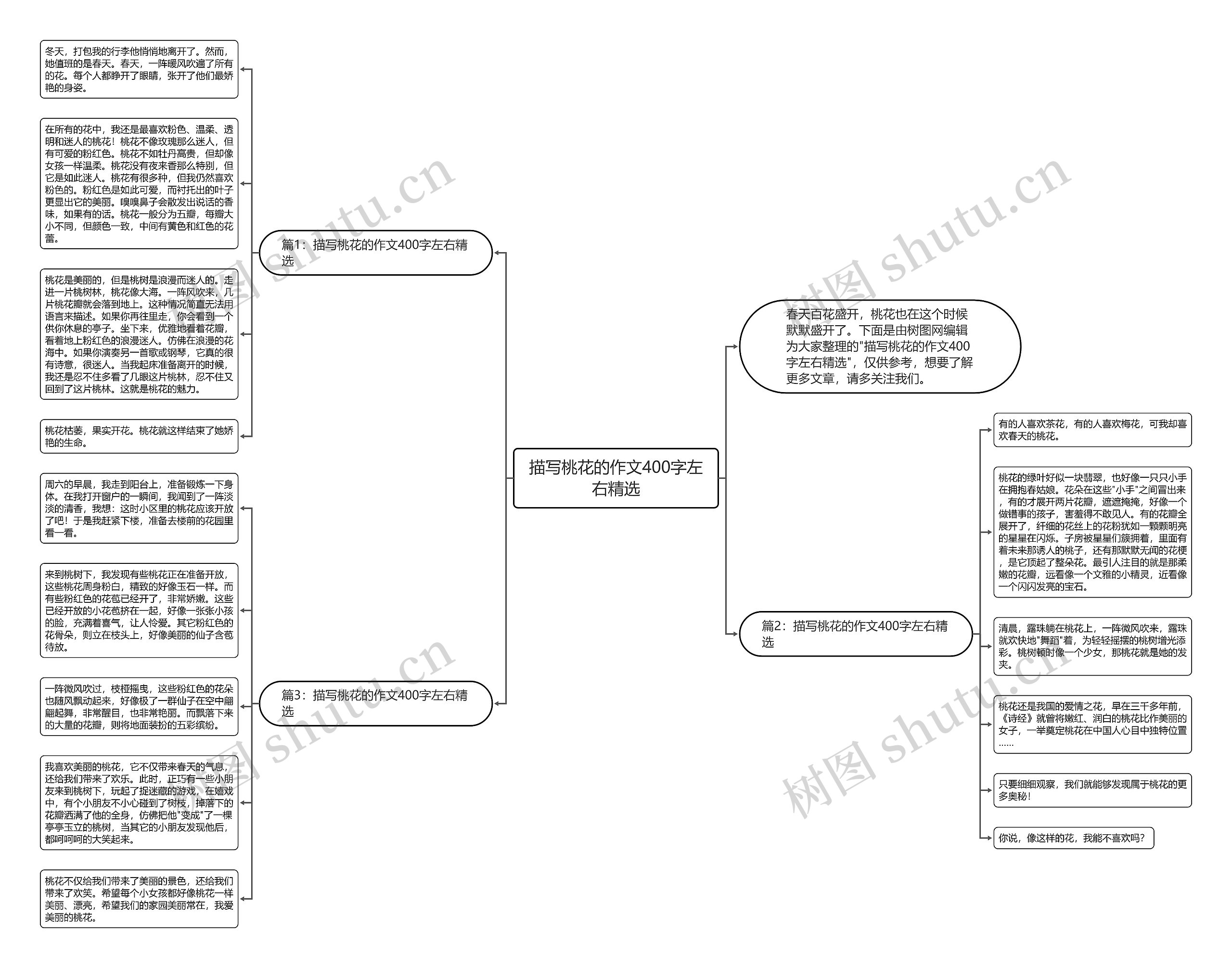 描写桃花的作文400字左右精选思维导图