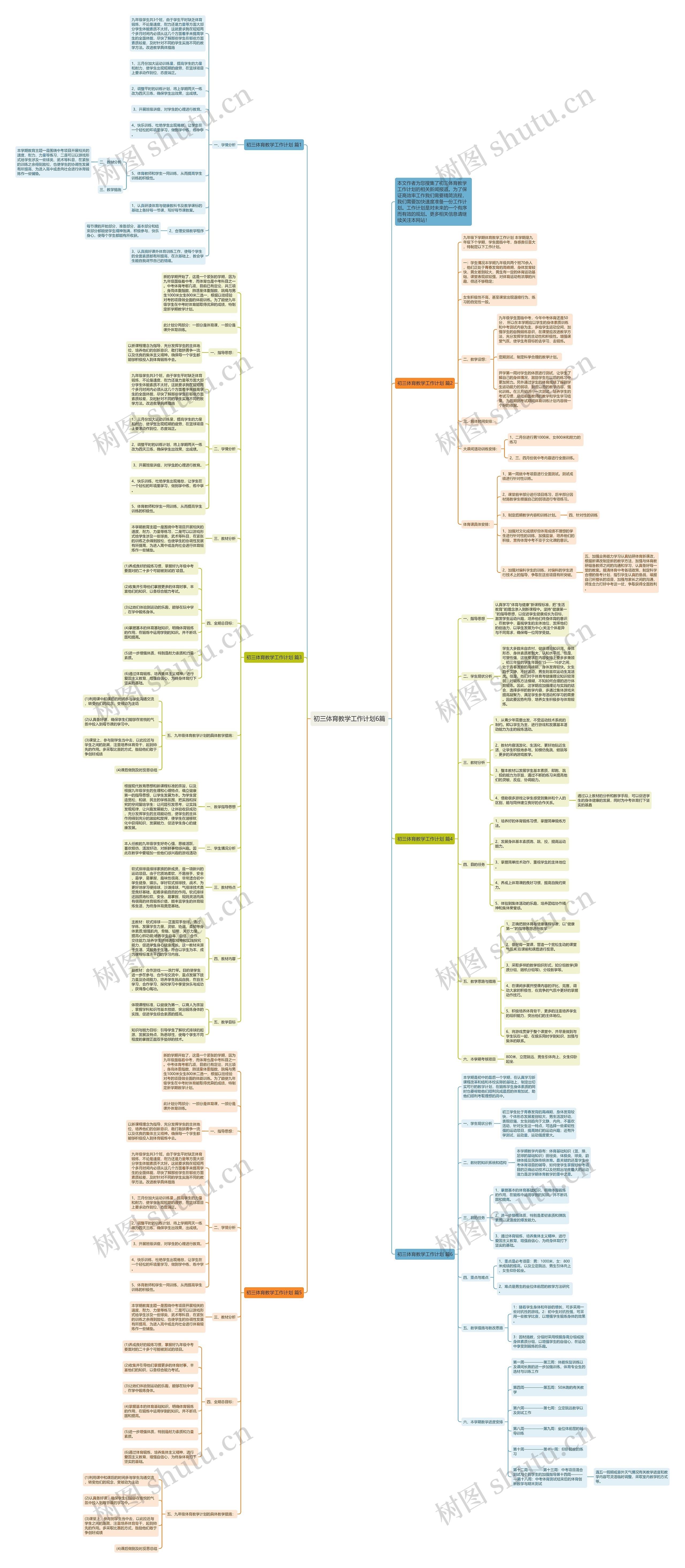 初三体育教学工作计划6篇思维导图