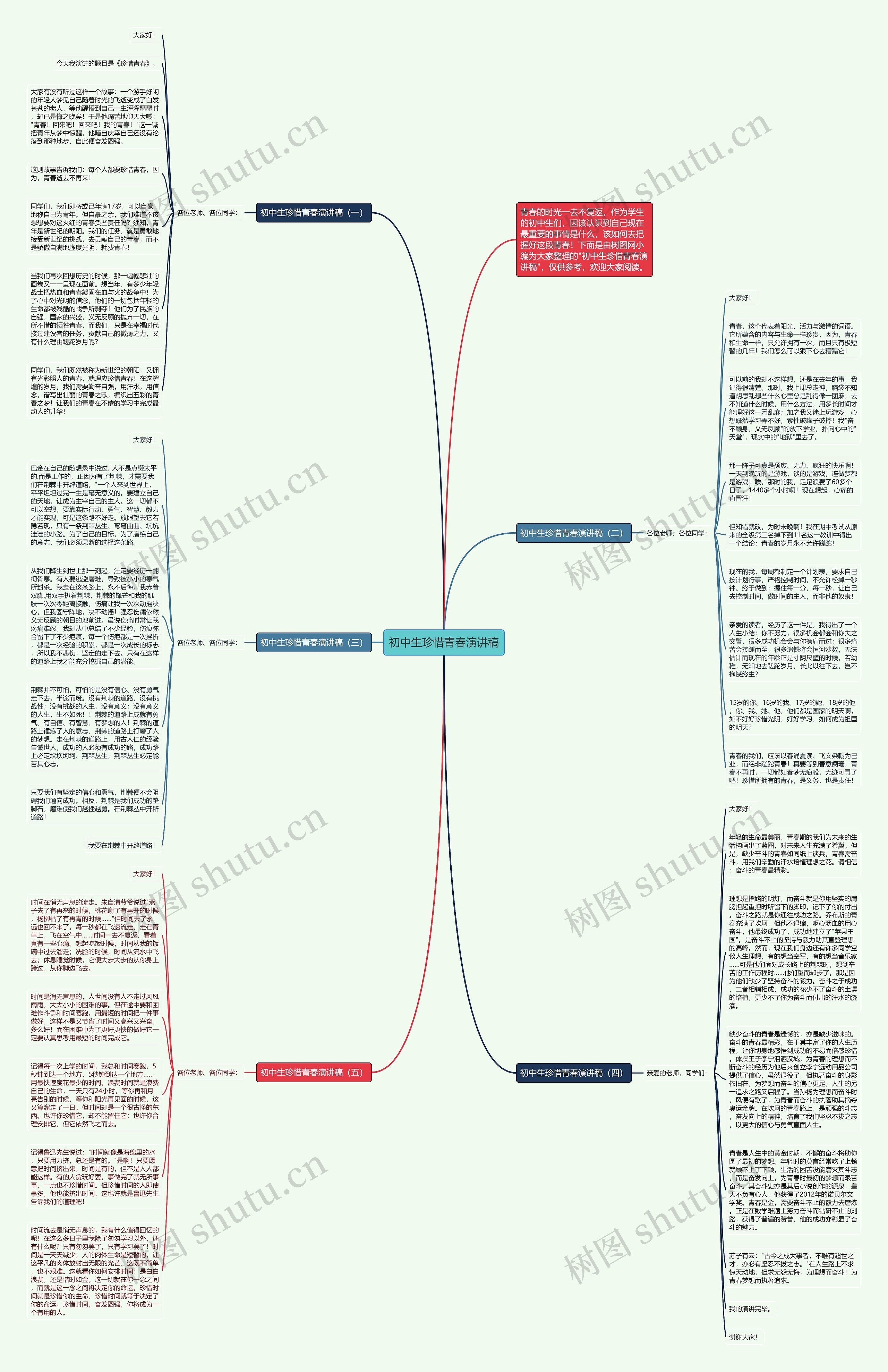 初中生珍惜青春演讲稿思维导图