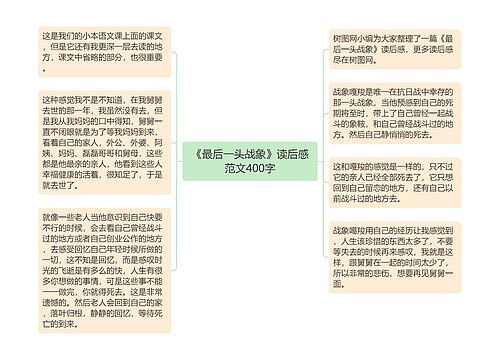 《最后一头战象》读后感范文400字 《最后一头战象》读后感范文400字