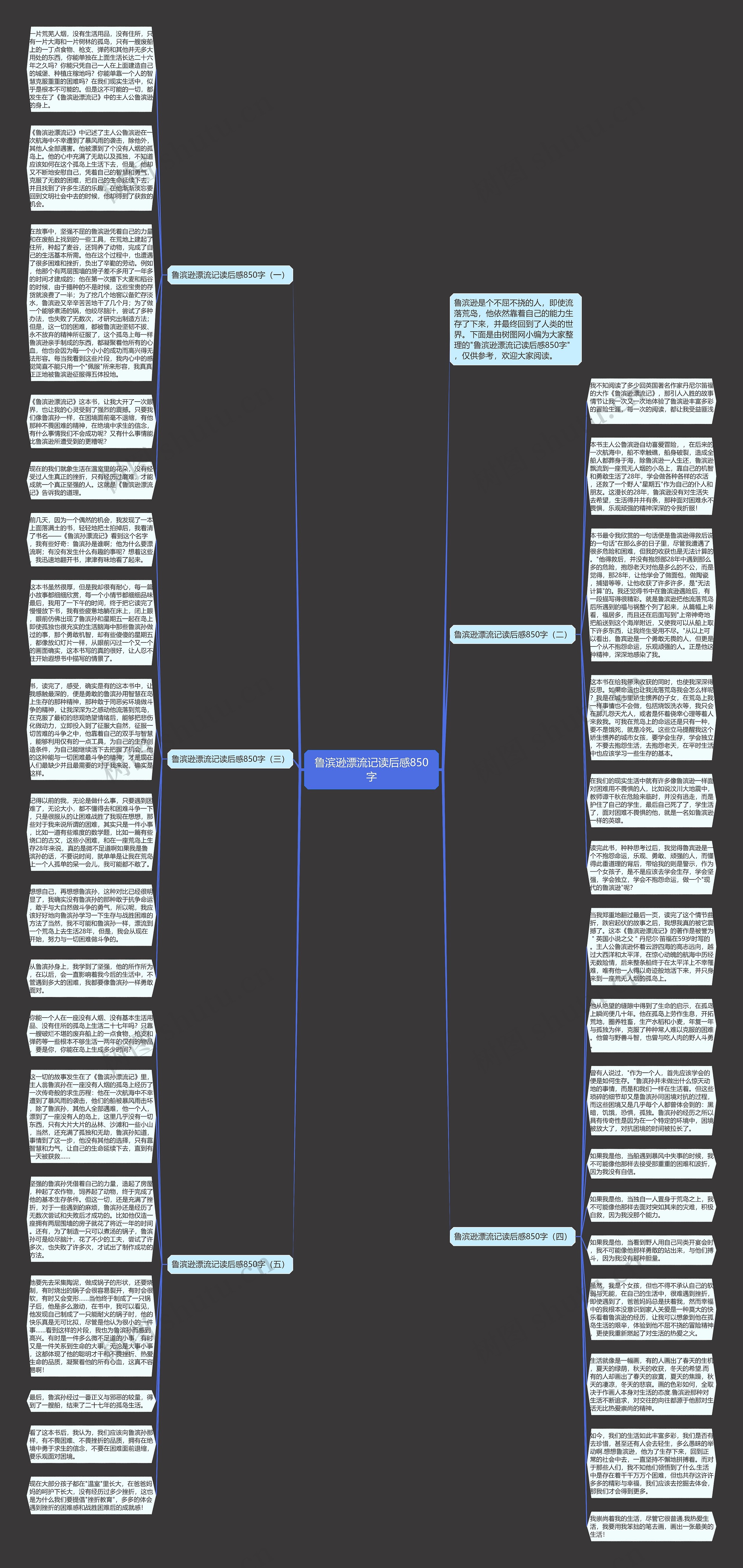 鲁滨逊漂流记读后感850字思维导图
