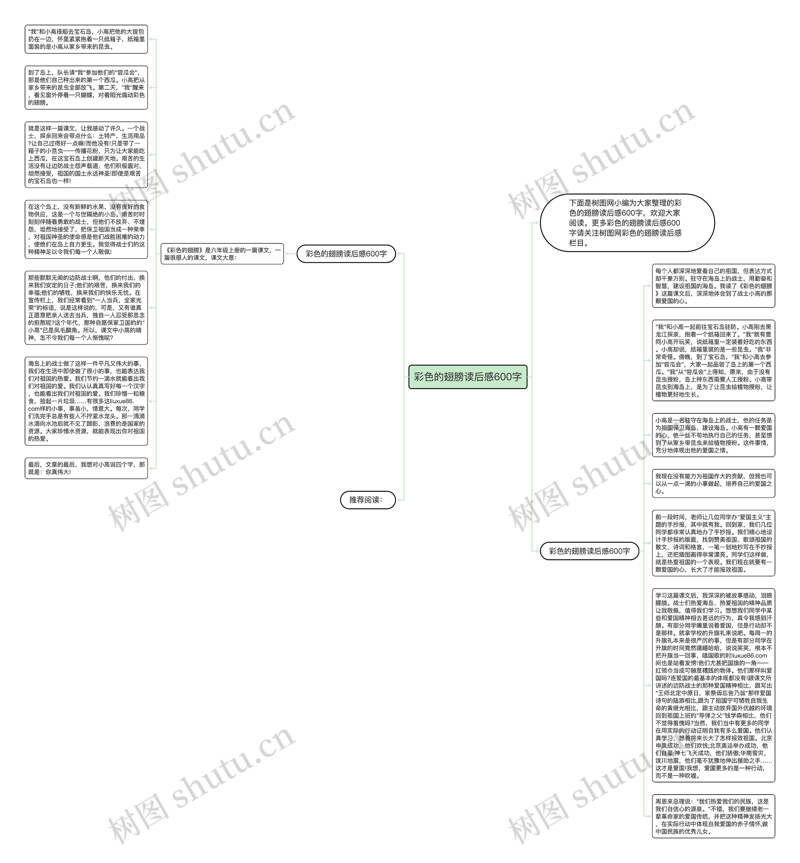 彩色的翅膀读后感600字思维导图