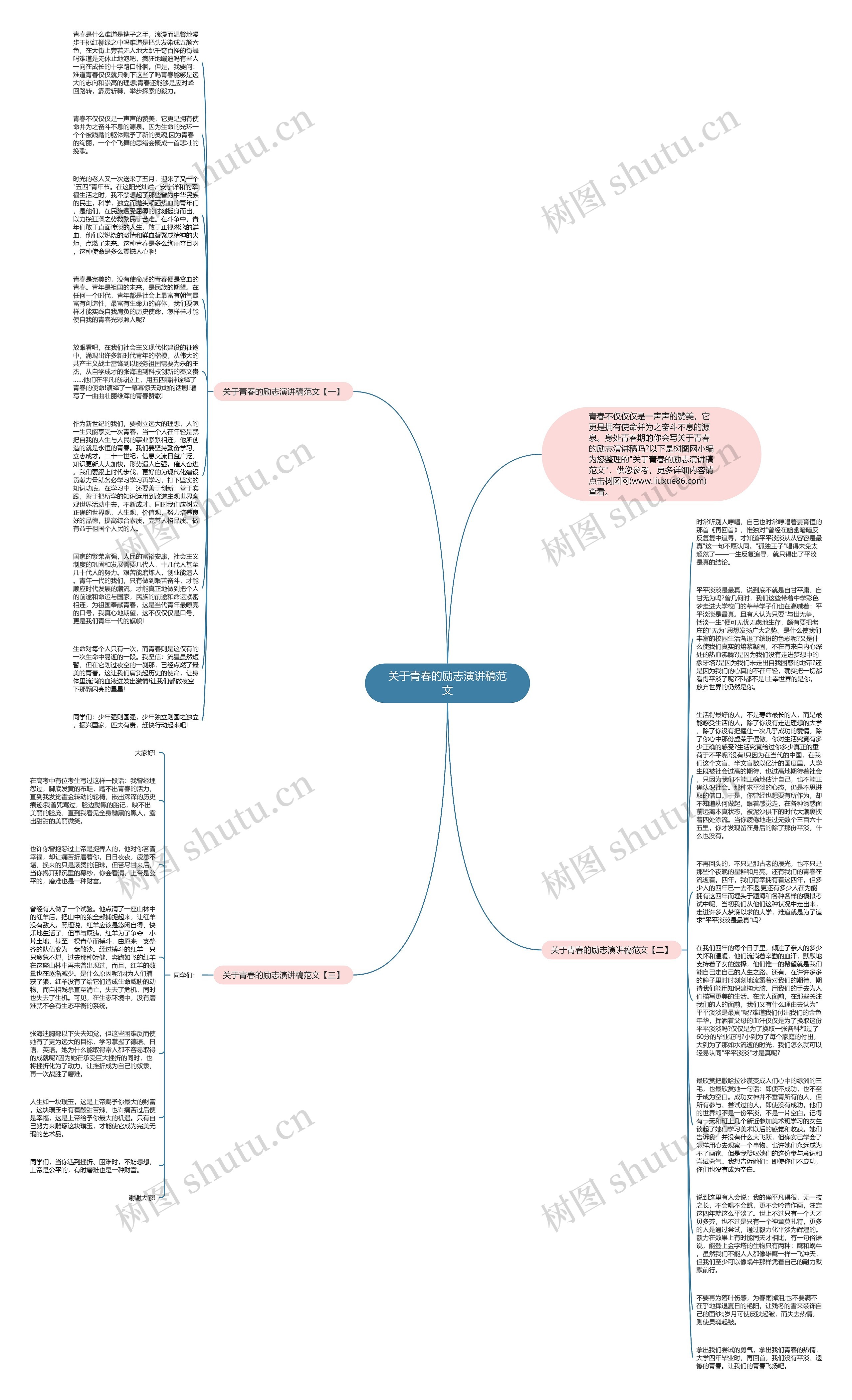 关于青春的励志演讲稿范文思维导图