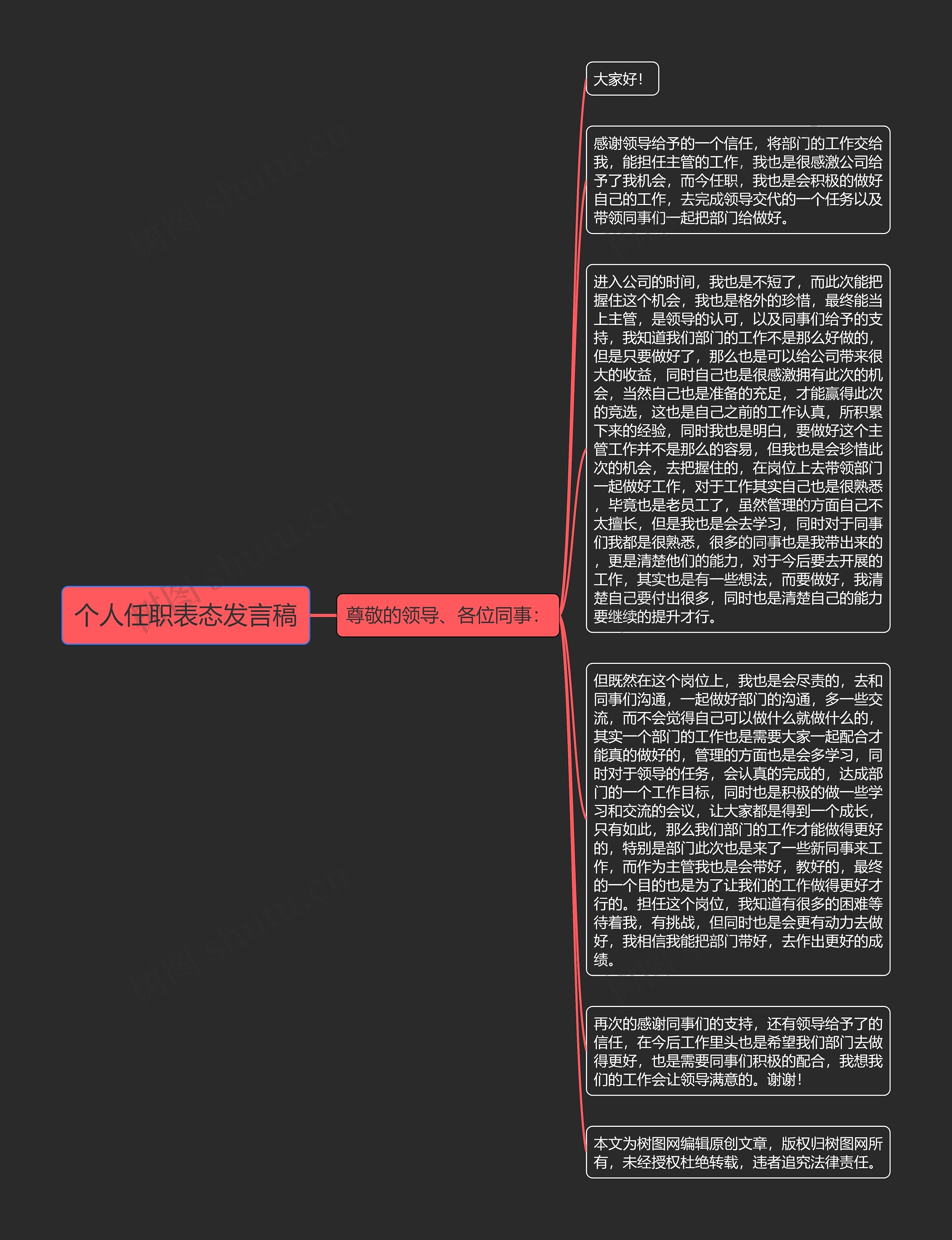 个人任职表态发言稿思维导图