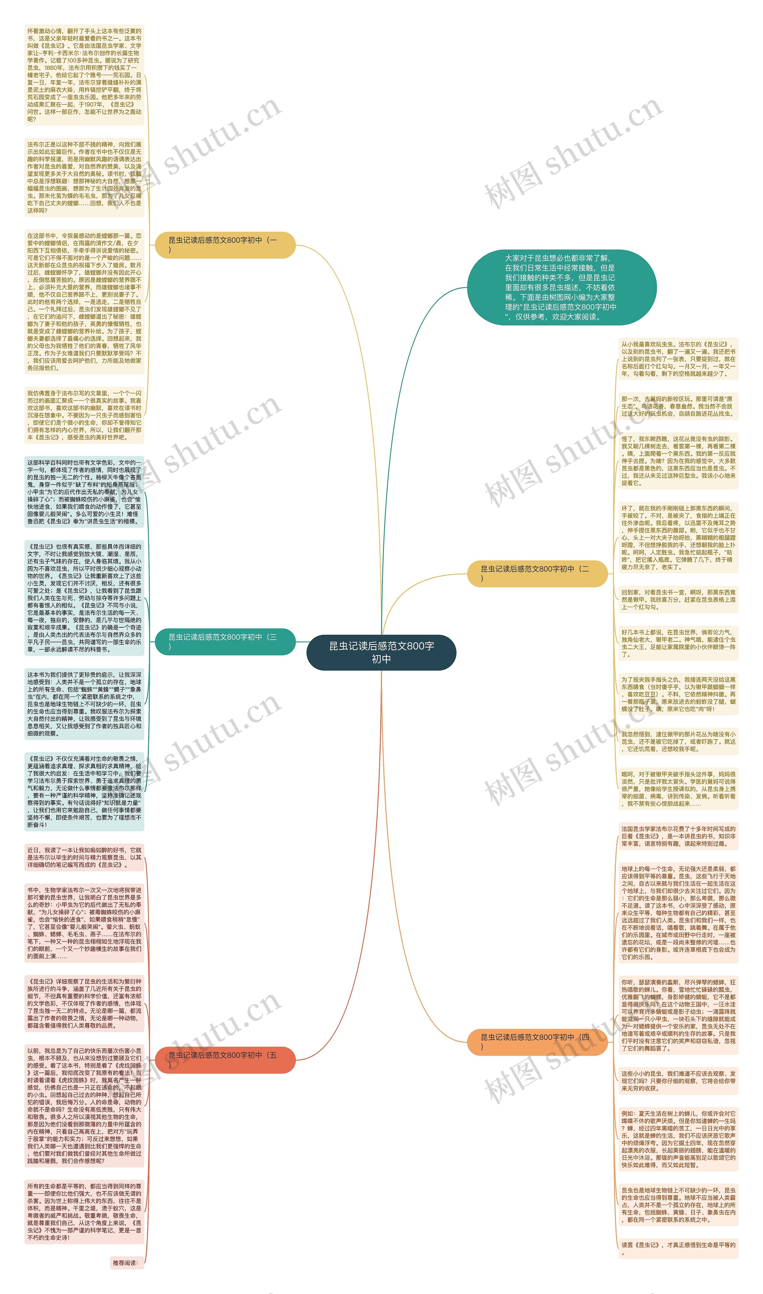 昆虫记读后感范文800字初中思维导图