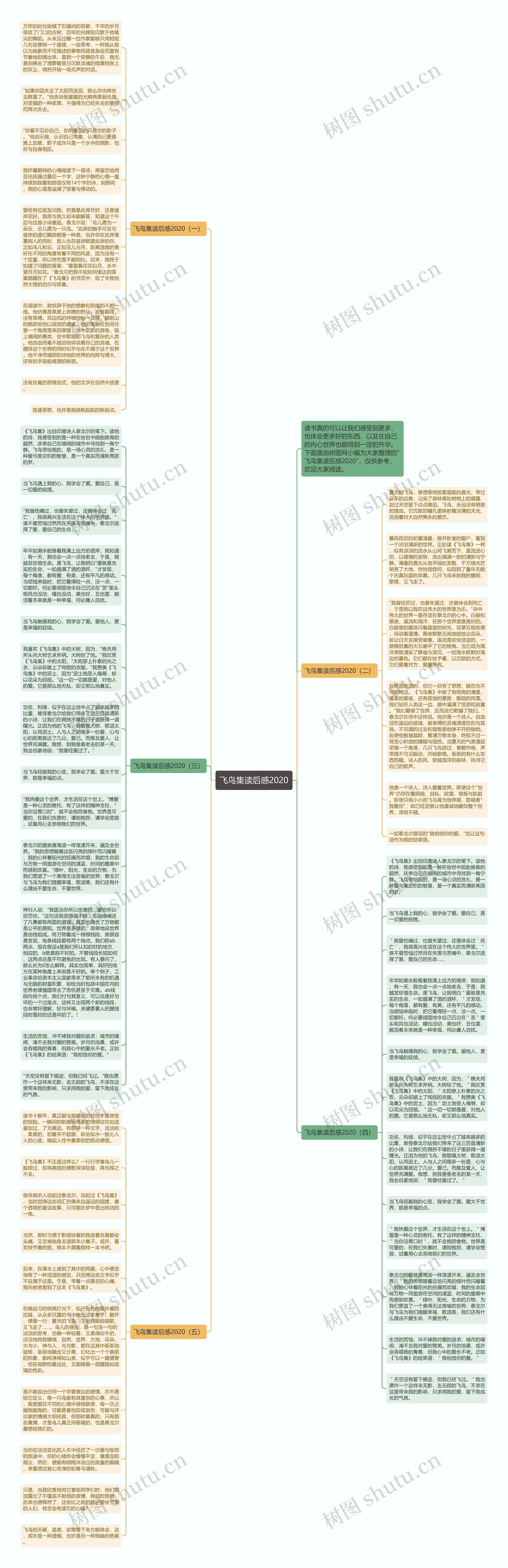 飞鸟集读后感2020思维导图