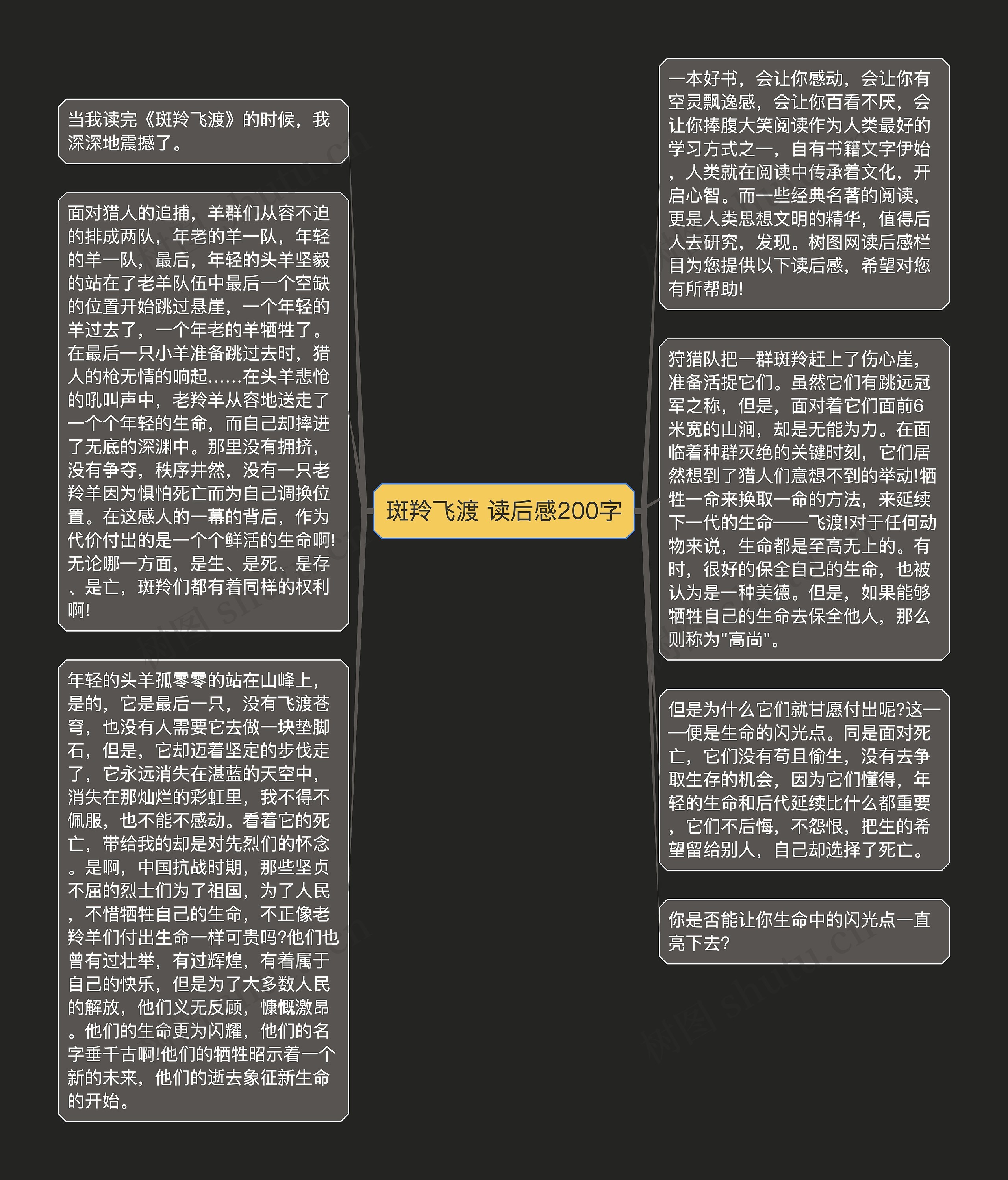 斑羚飞渡 读后感200字思维导图