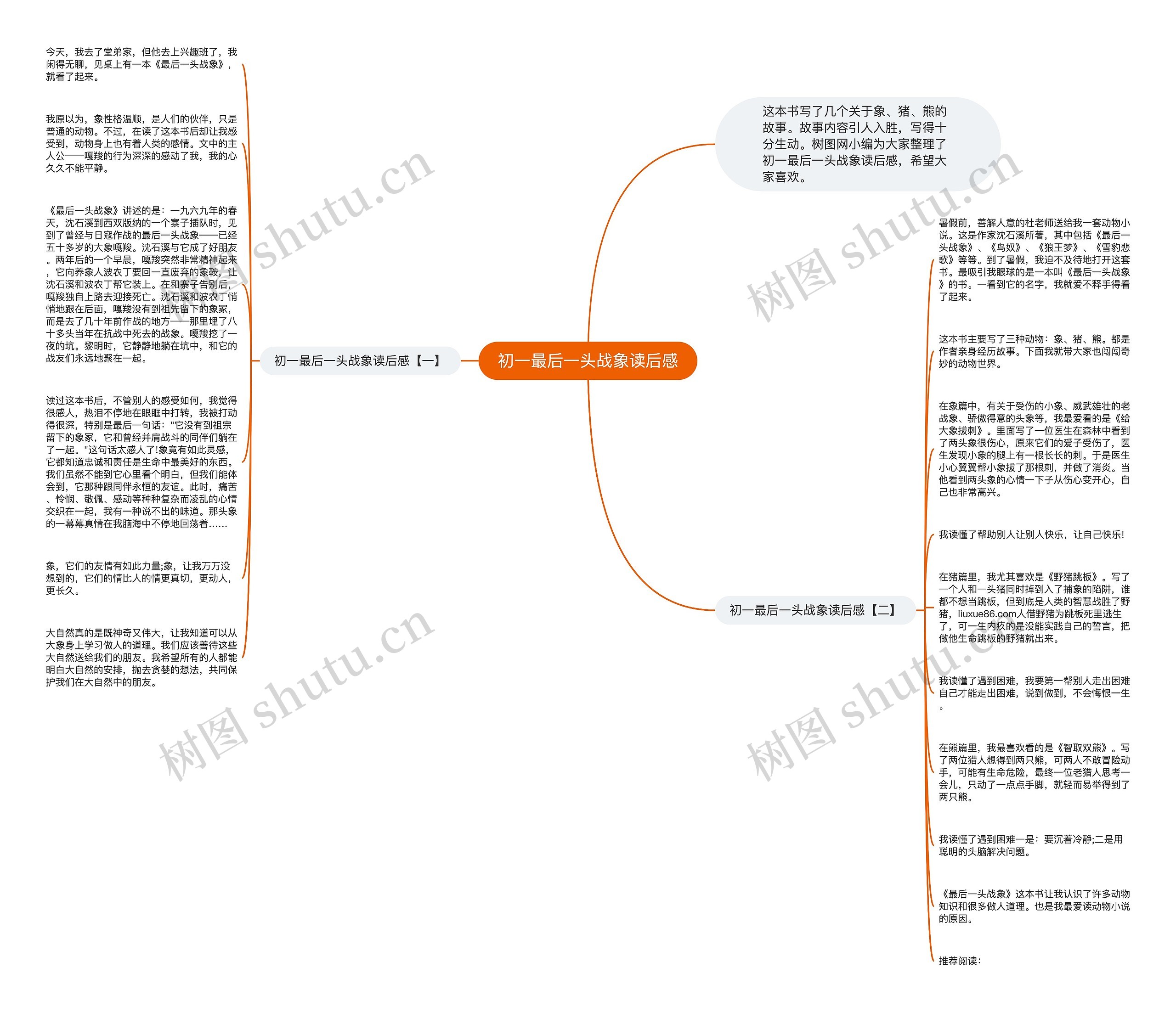 初一最后一头战象读后感思维导图