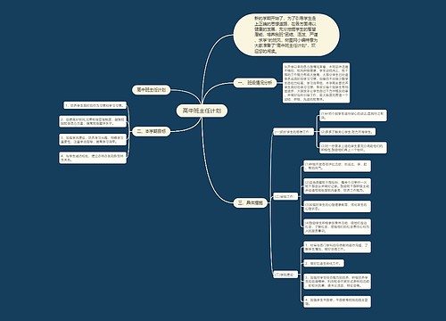 高中班主任计划