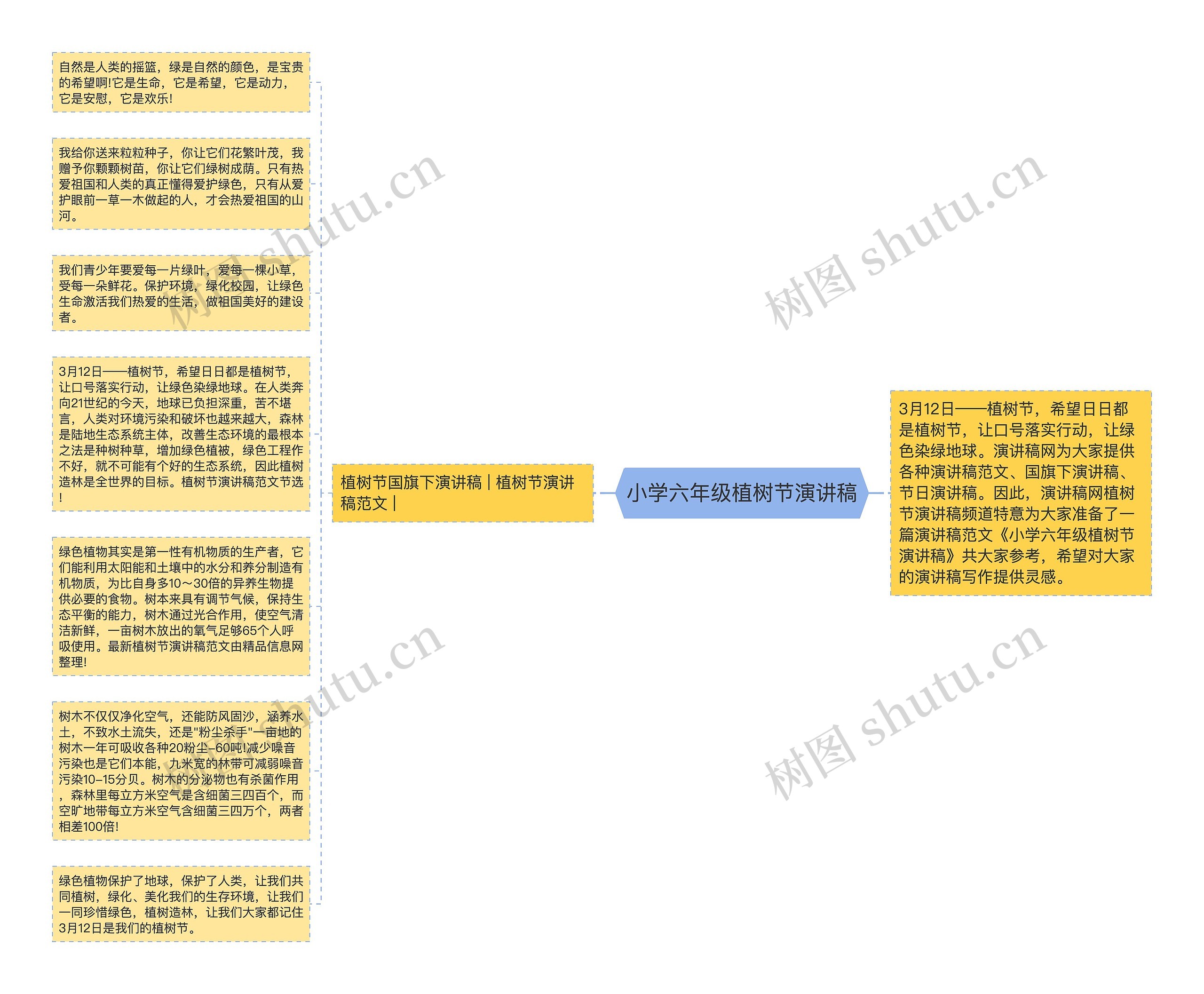 小学六年级植树节演讲稿思维导图