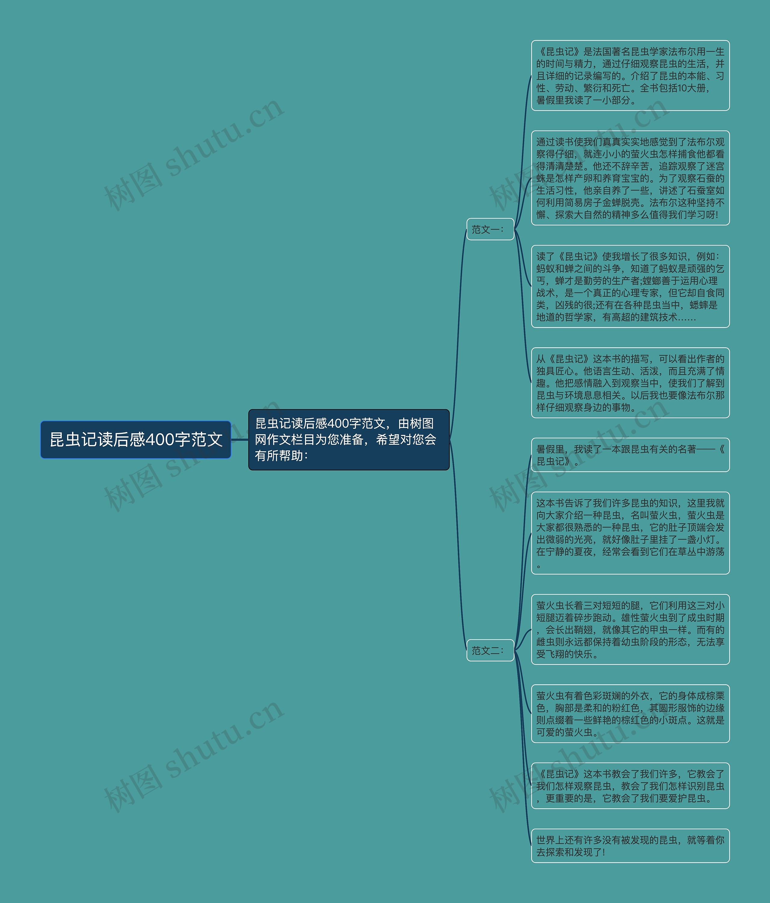 昆虫记读后感400字范文