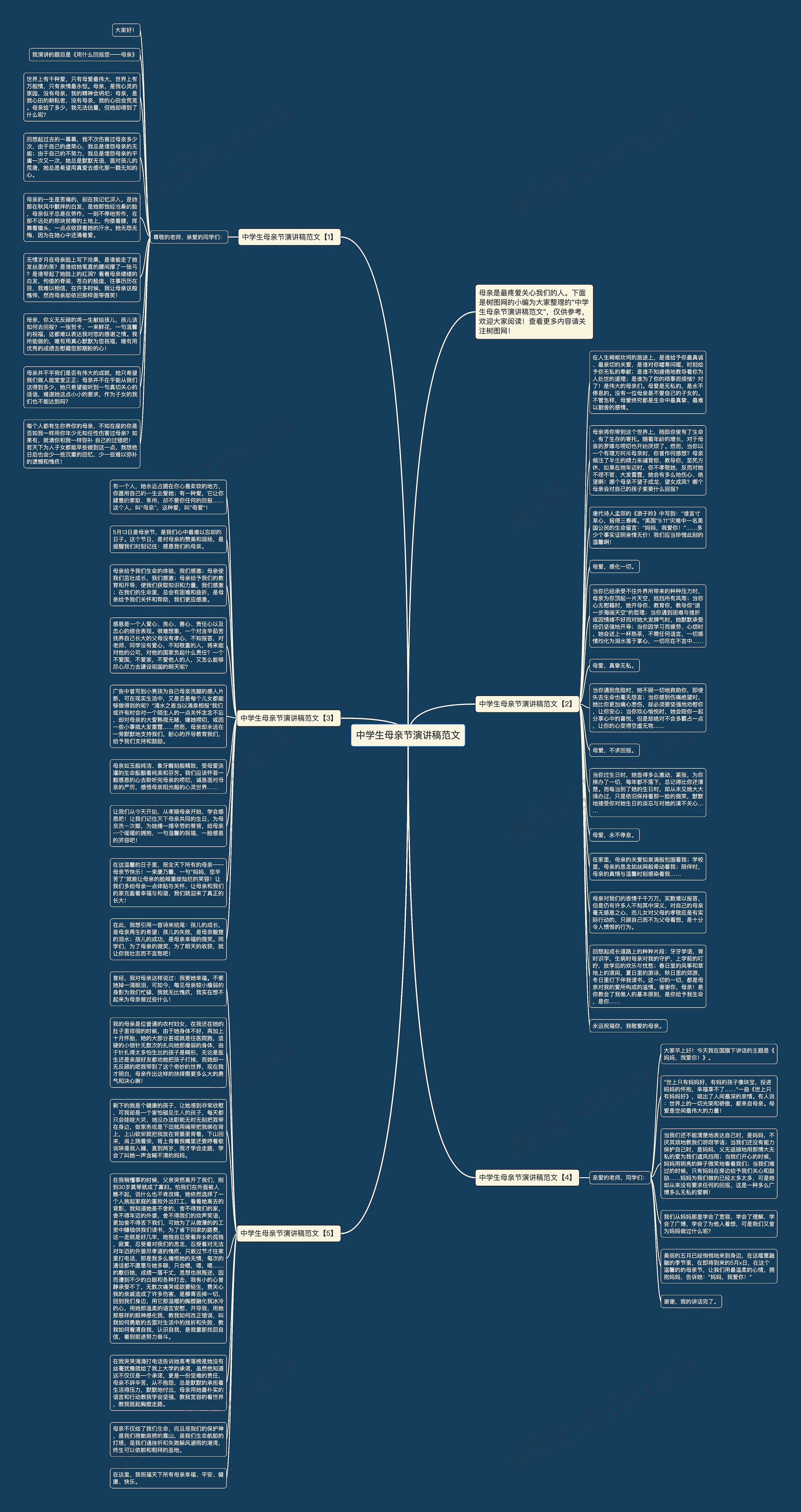 中学生母亲节演讲稿范文思维导图