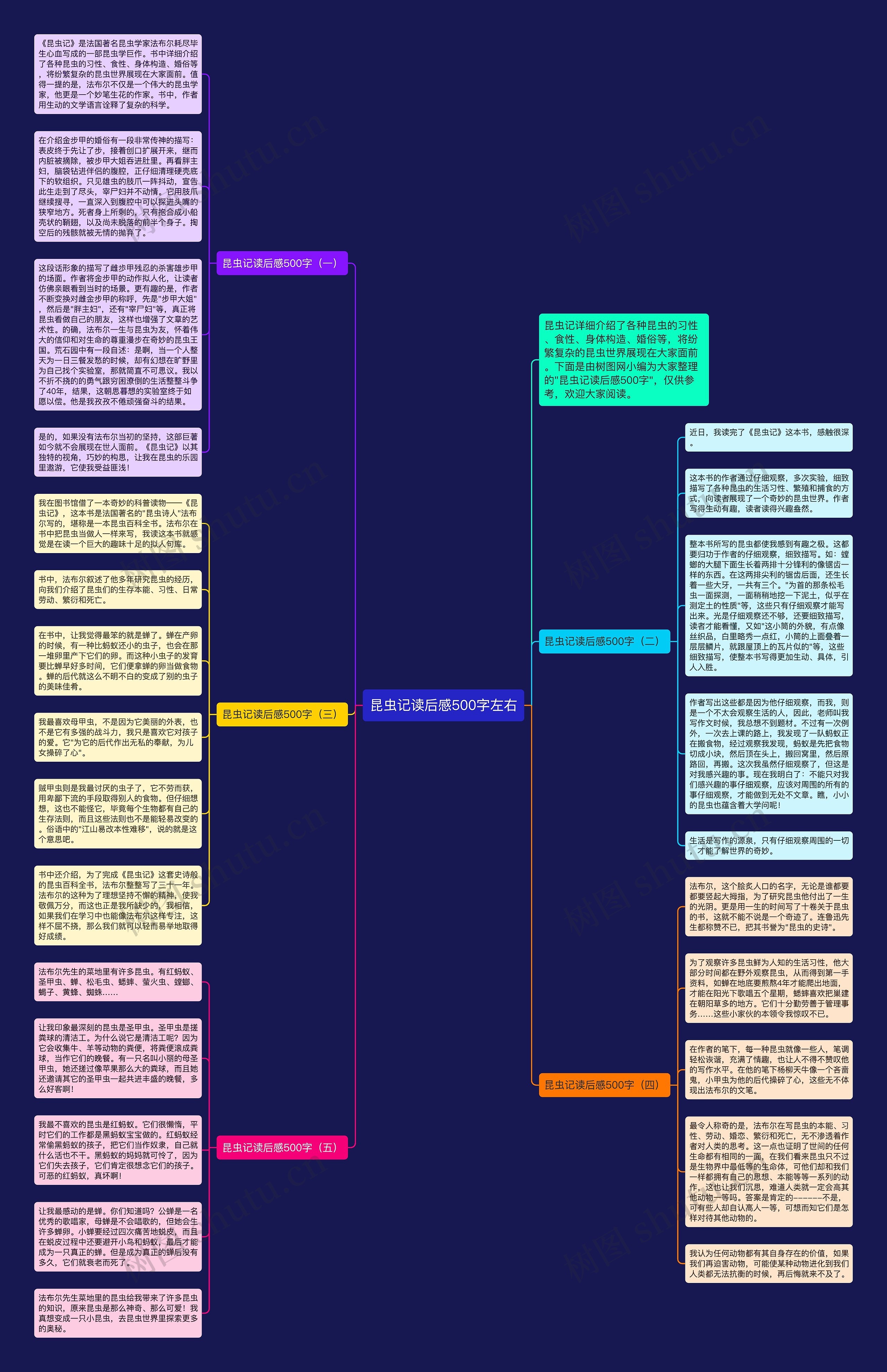 昆虫记读后感500字左右思维导图