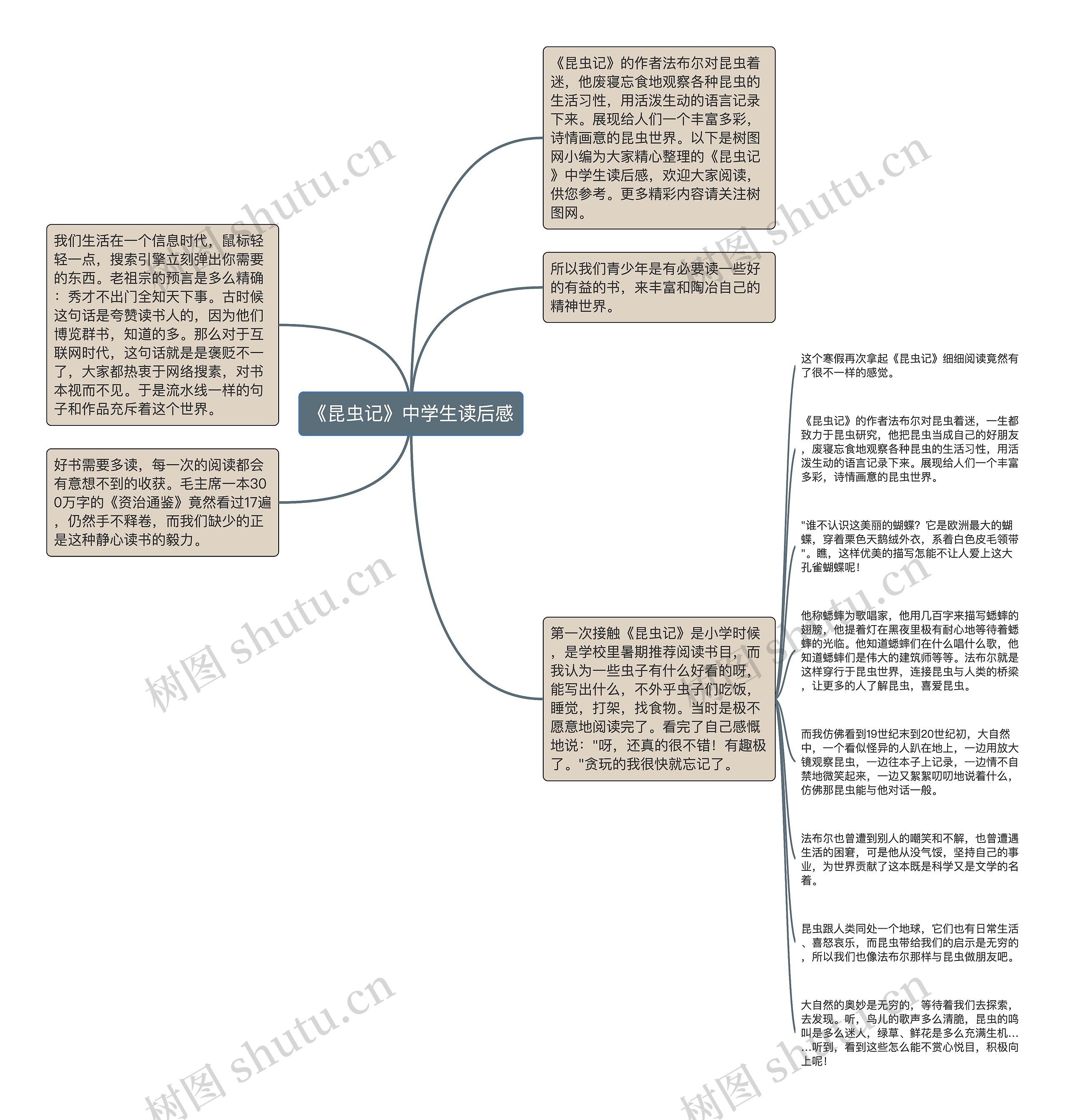 《昆虫记》中学生读后感