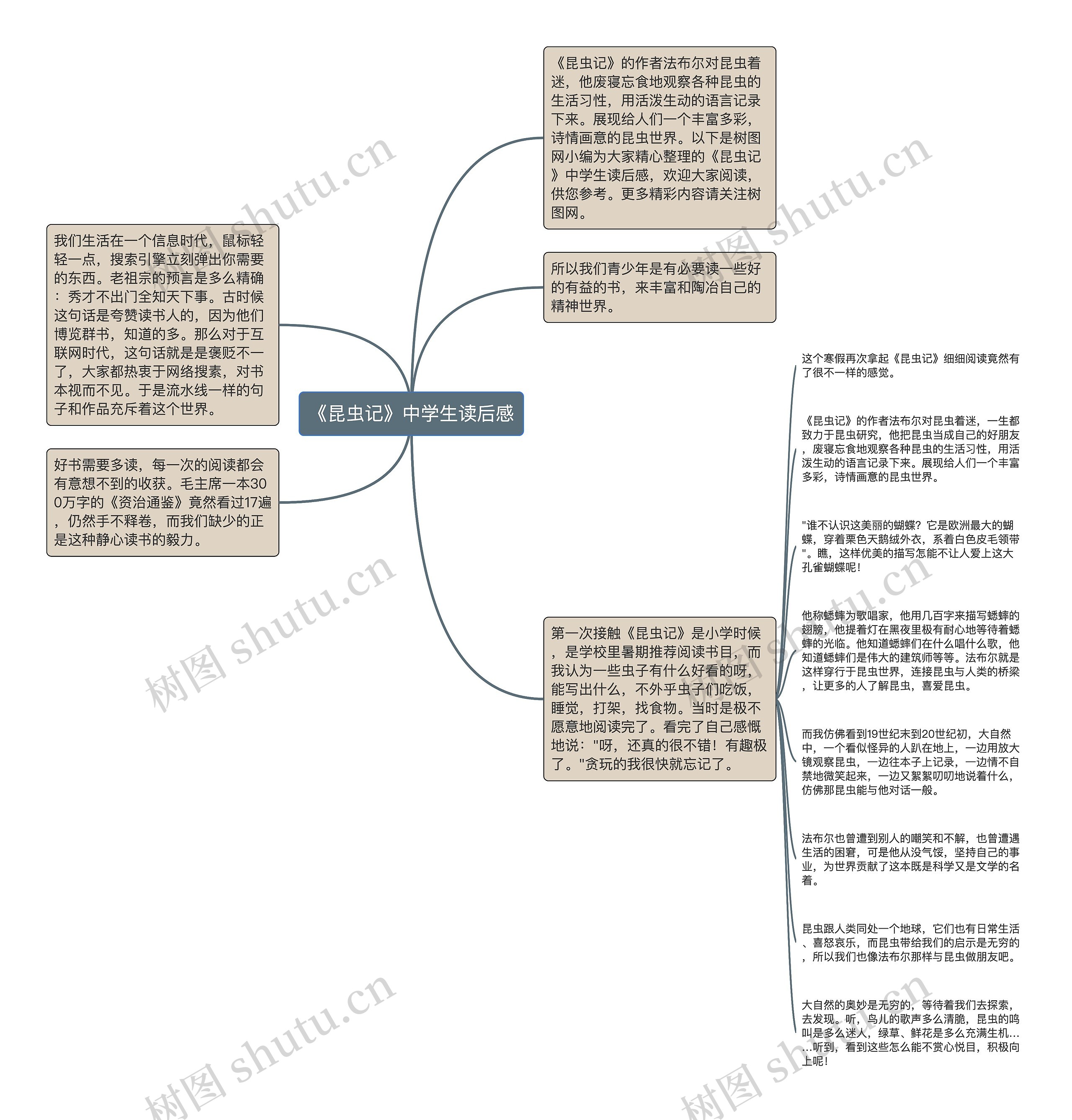 《昆虫记》中学生读后感思维导图