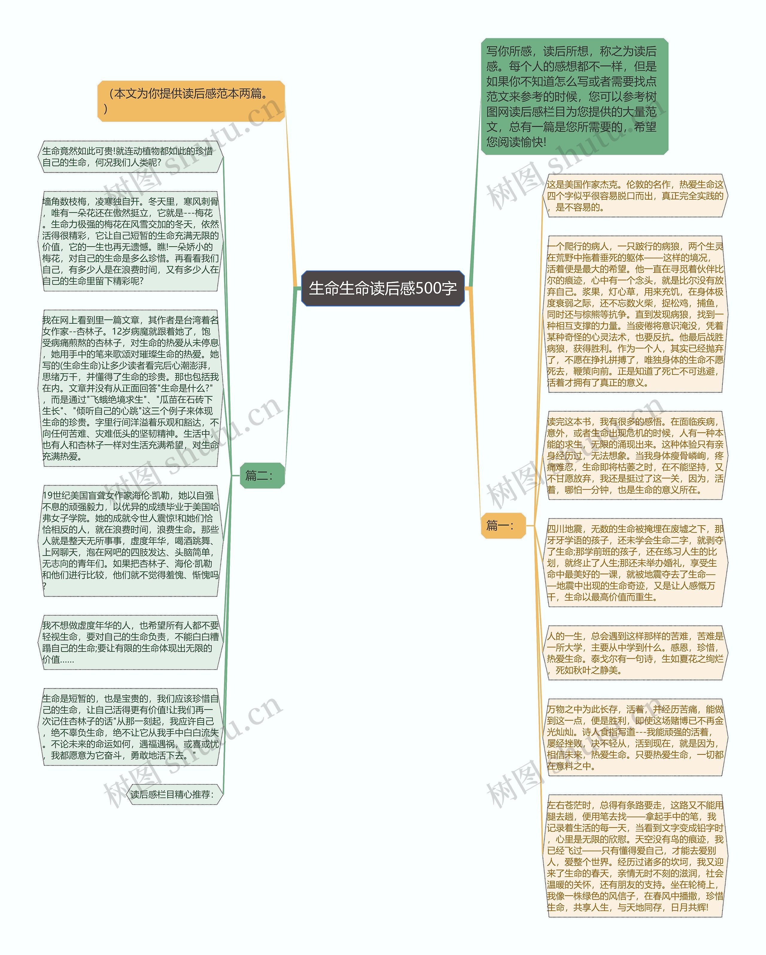 生命生命读后感500字