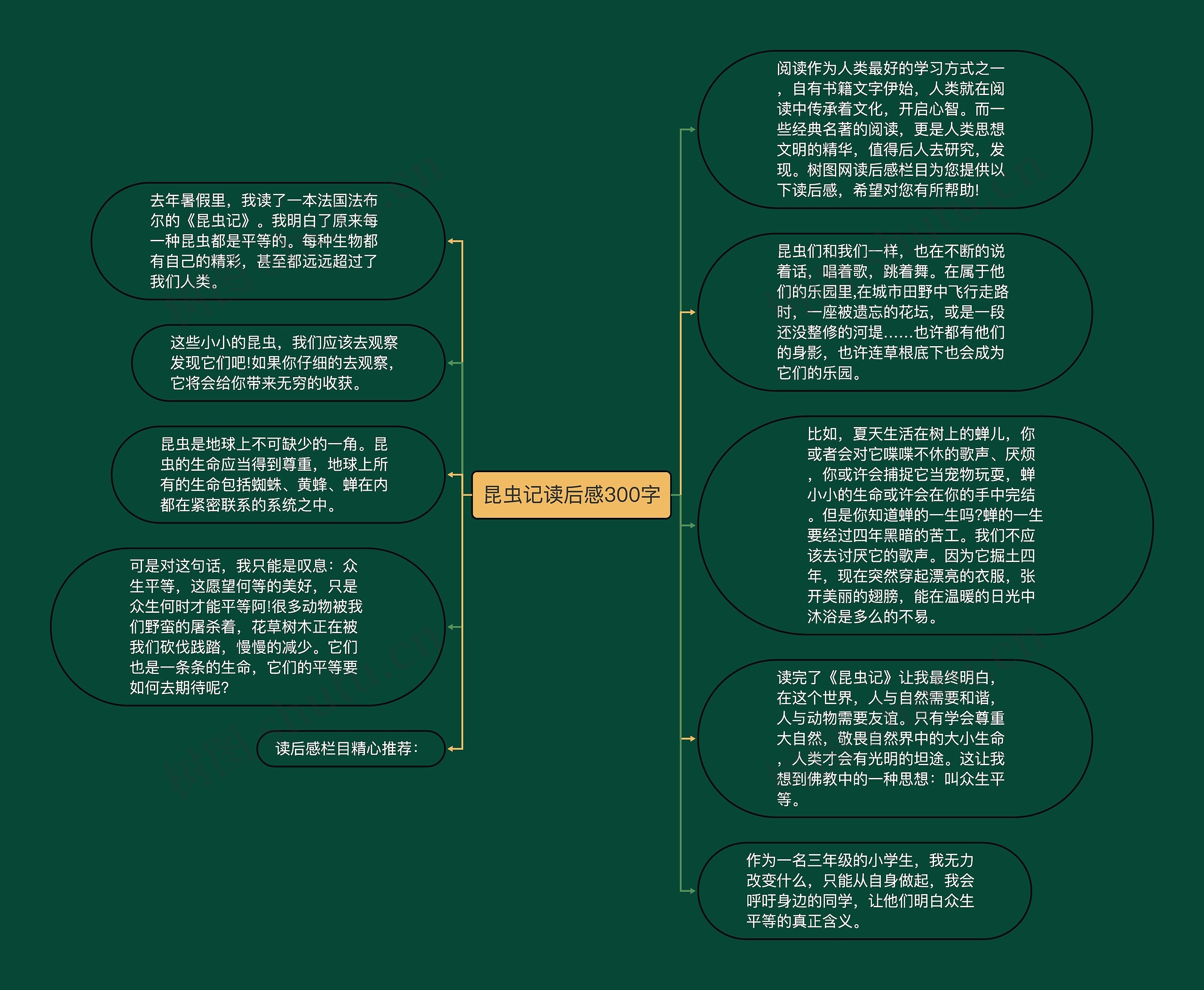 昆虫记读后感300字