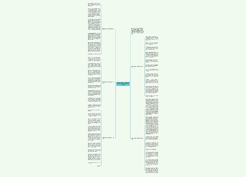 寒假追风筝的人读后感范文800字