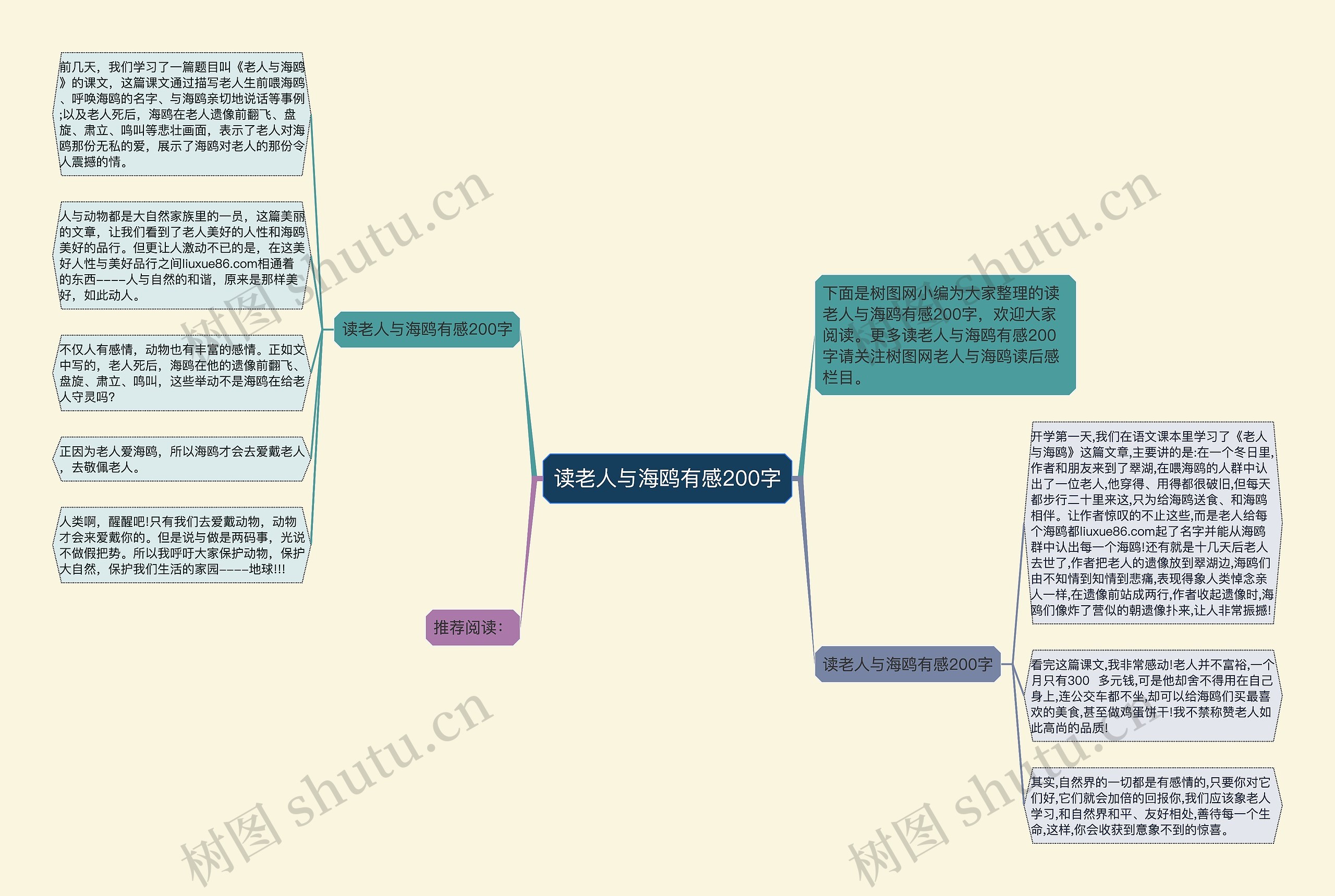 读老人与海鸥有感200字