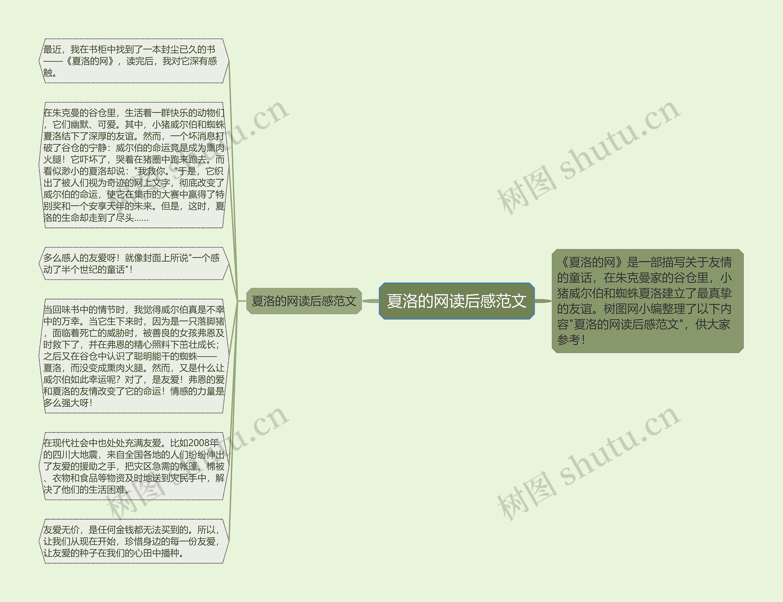 夏洛的网读后感范文思维导图