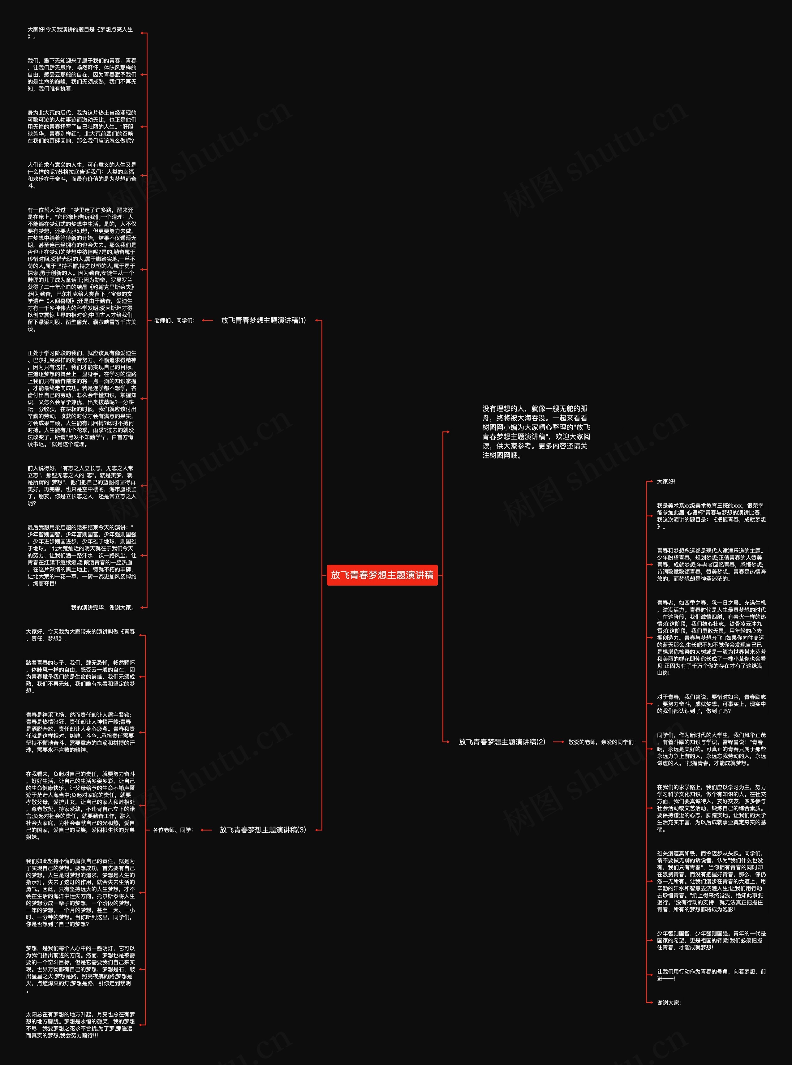 放飞青春梦想主题演讲稿思维导图