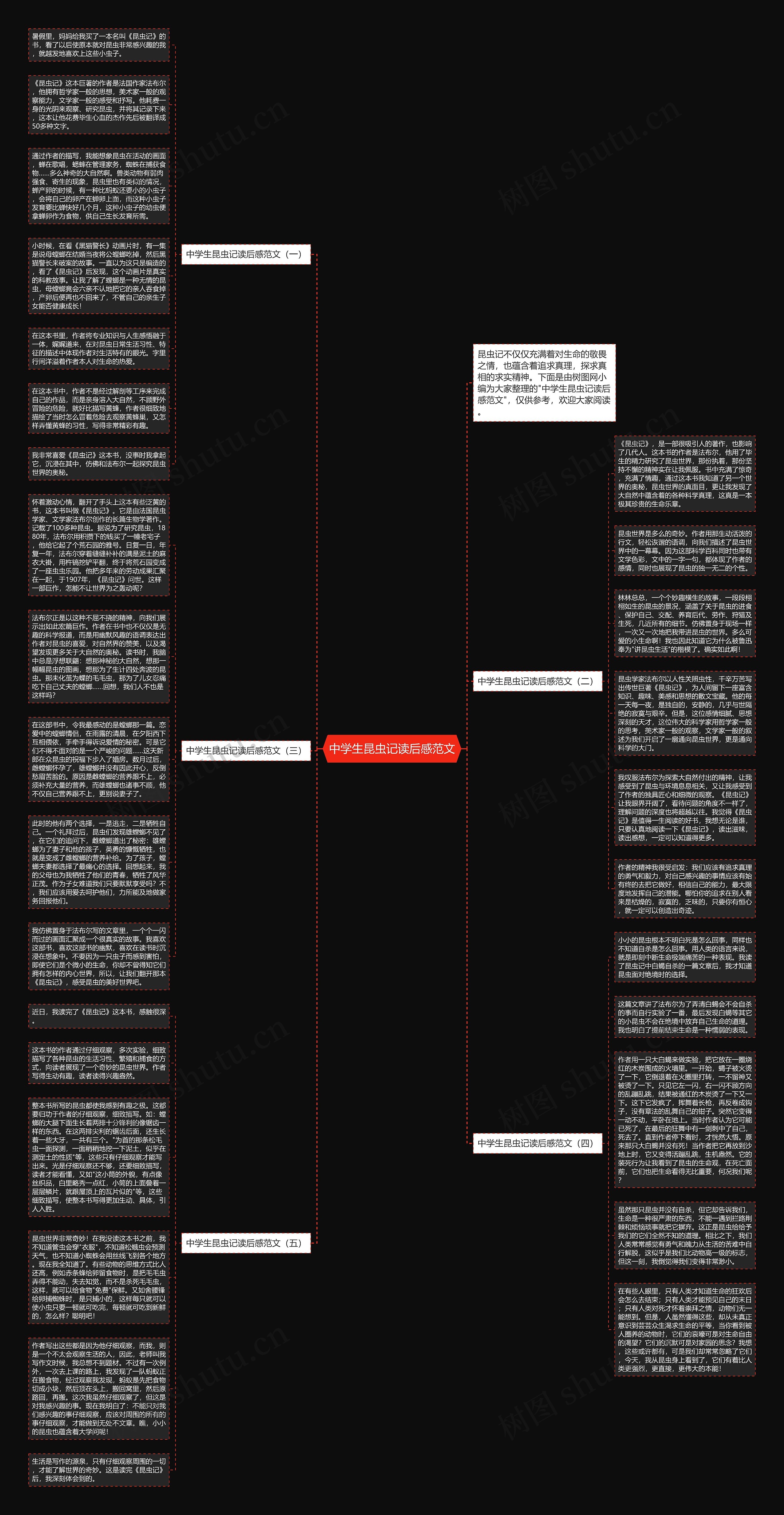 中学生昆虫记读后感范文思维导图