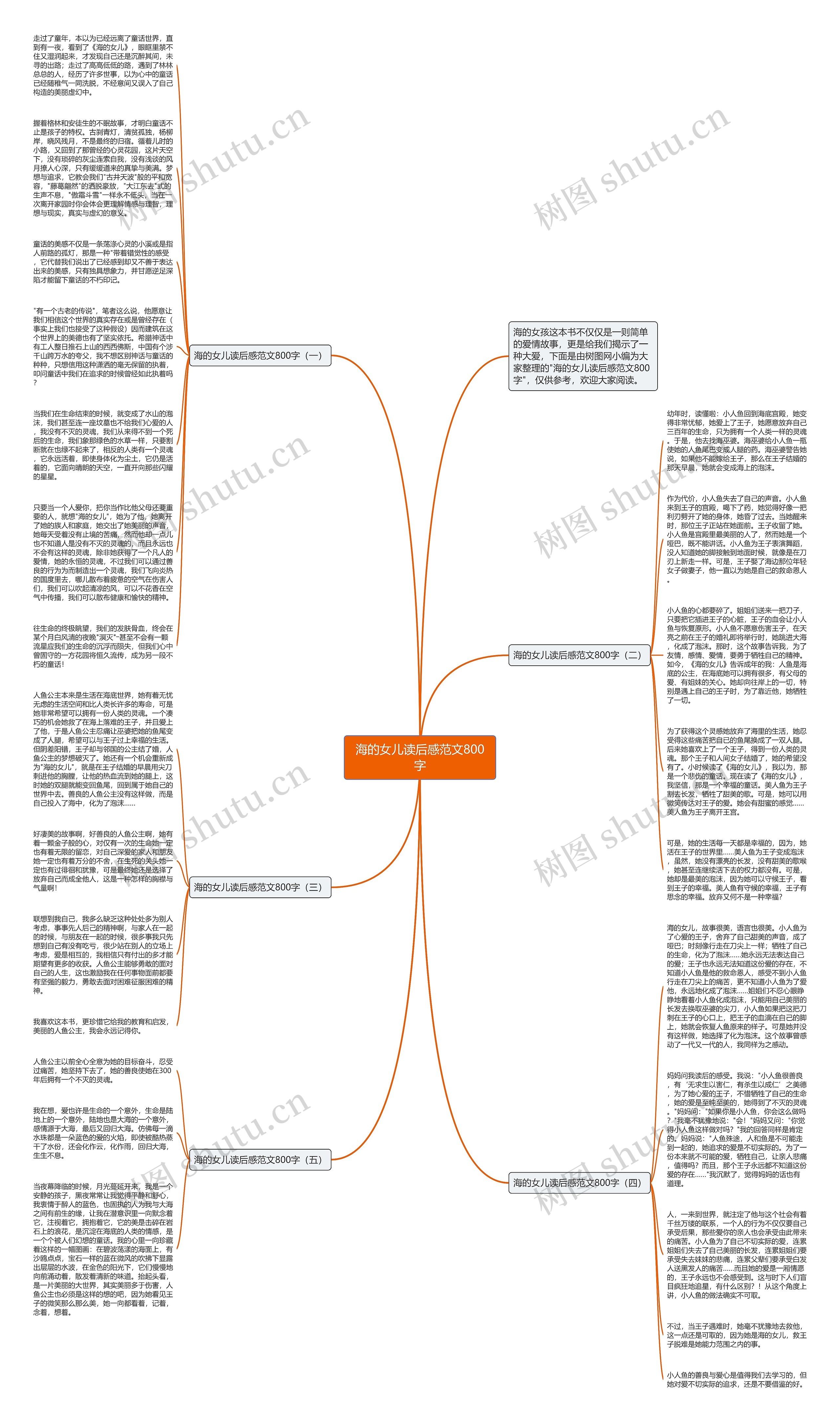 海的女儿读后感范文800字思维导图