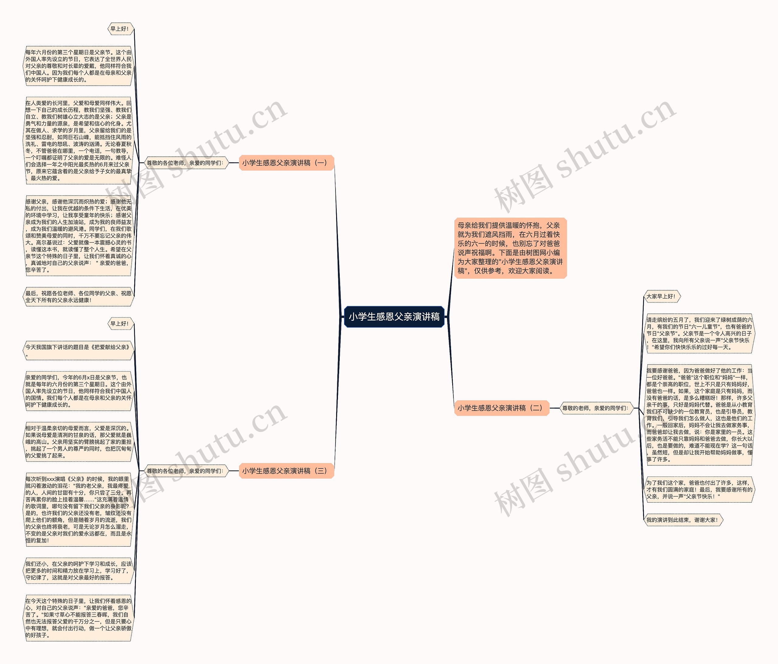 小学生感恩父亲演讲稿思维导图
