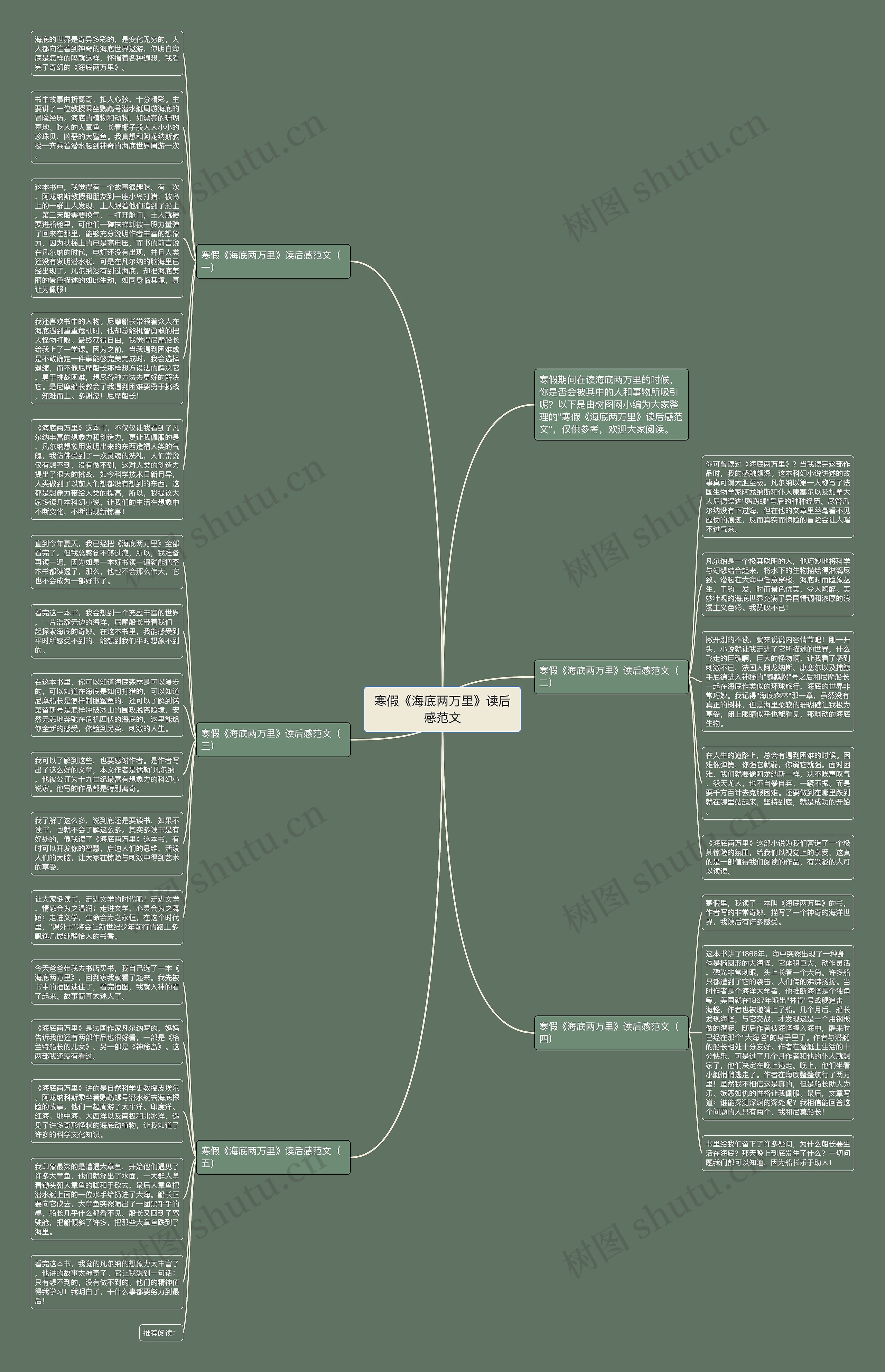 寒假《海底两万里》读后感范文思维导图