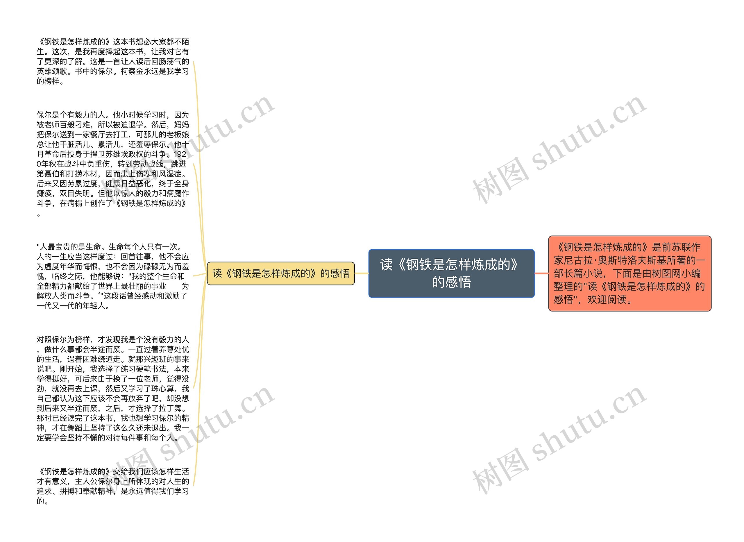 读《钢铁是怎样炼成的》的感悟思维导图