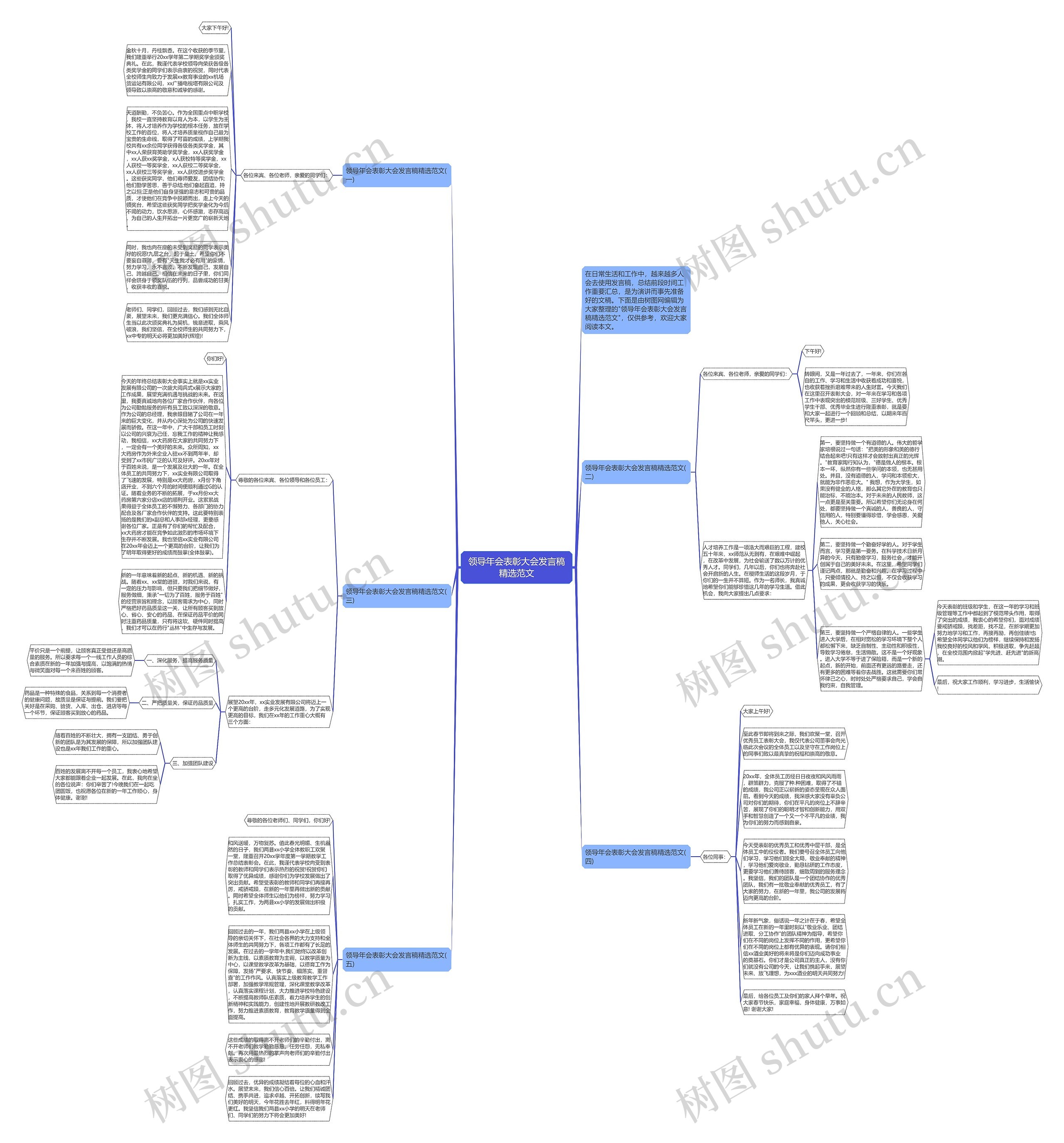 领导年会表彰大会发言稿精选范文思维导图
