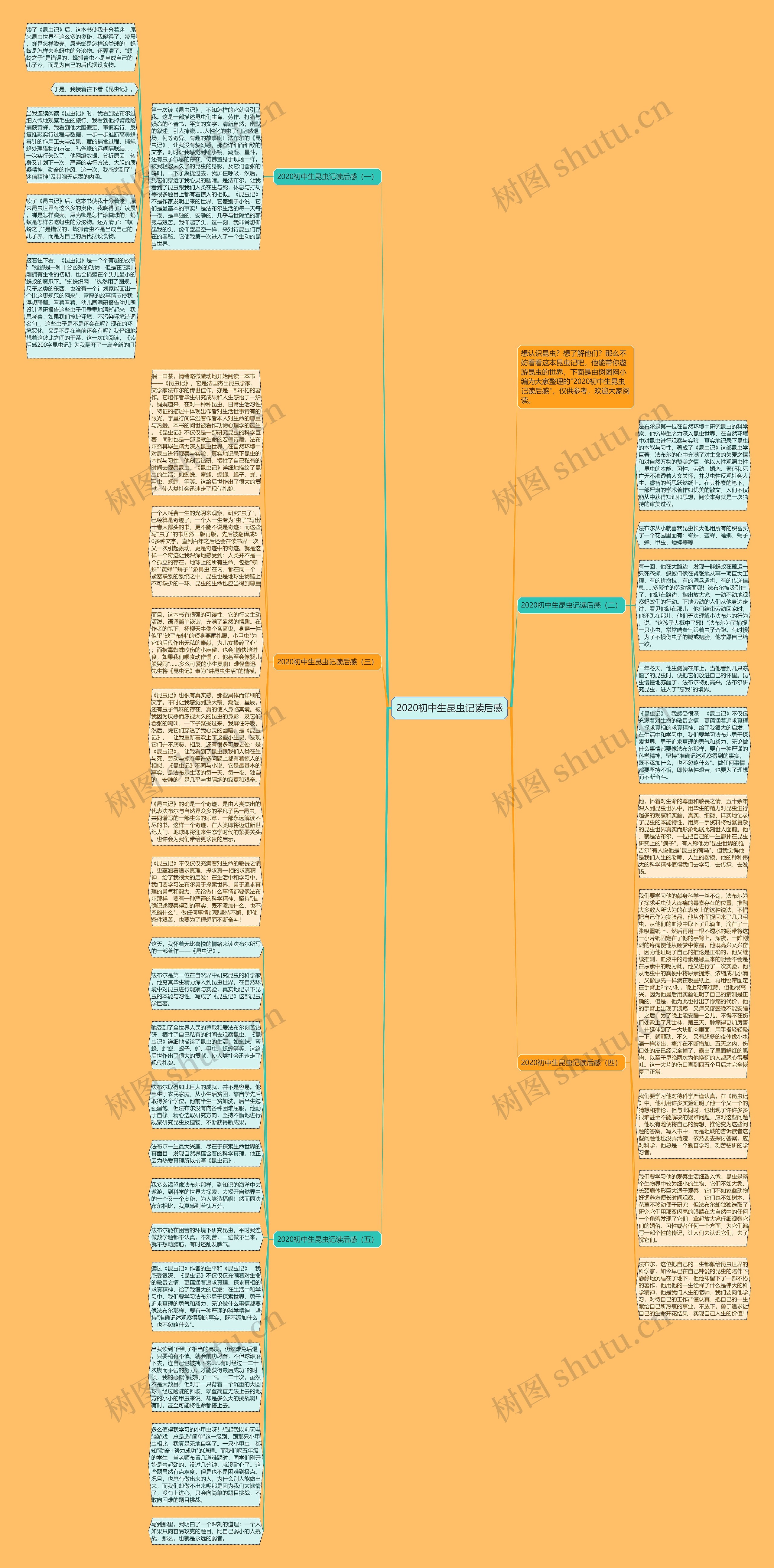 2020初中生昆虫记读后感思维导图