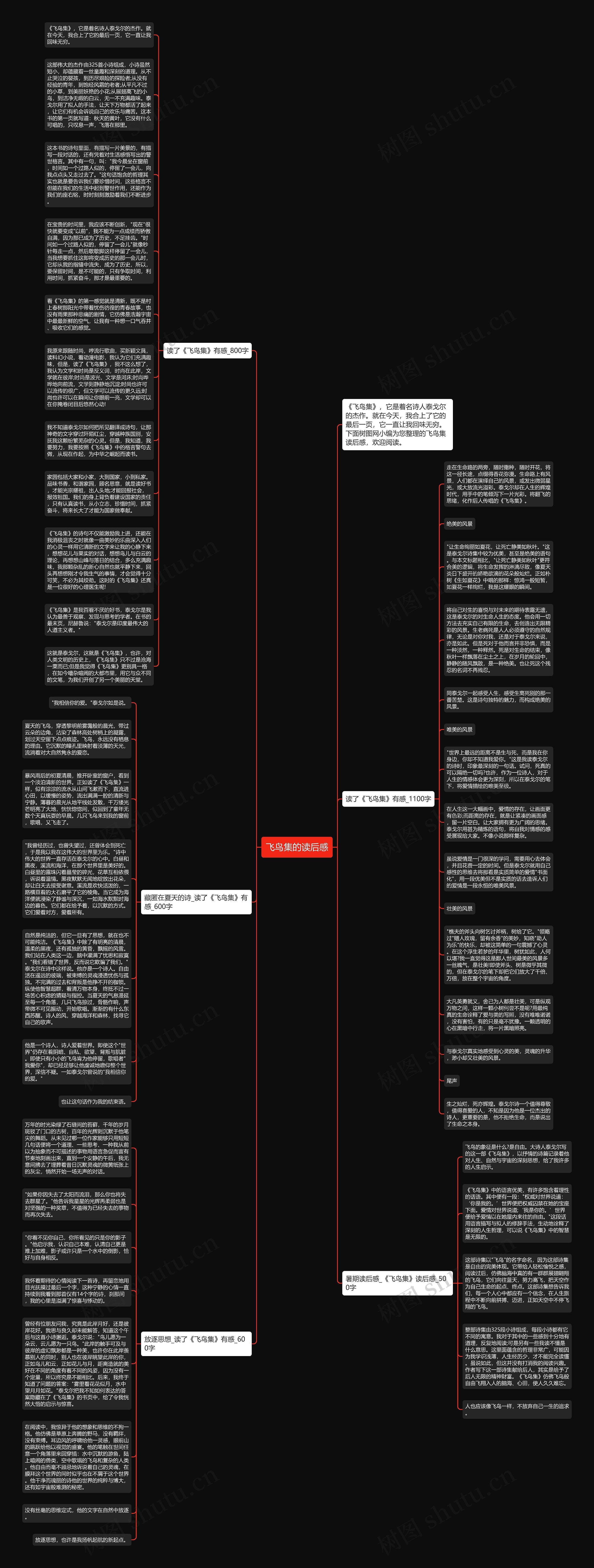 飞鸟集的读后感思维导图