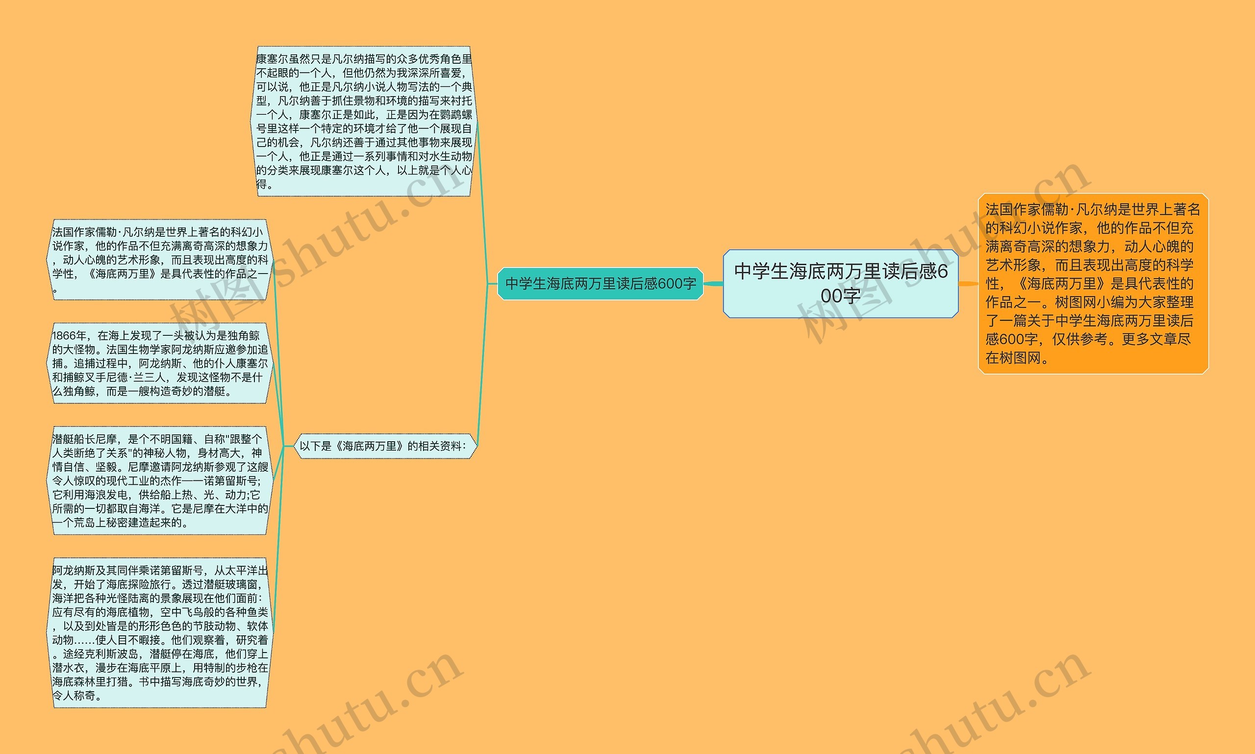 中学生海底两万里读后感600字