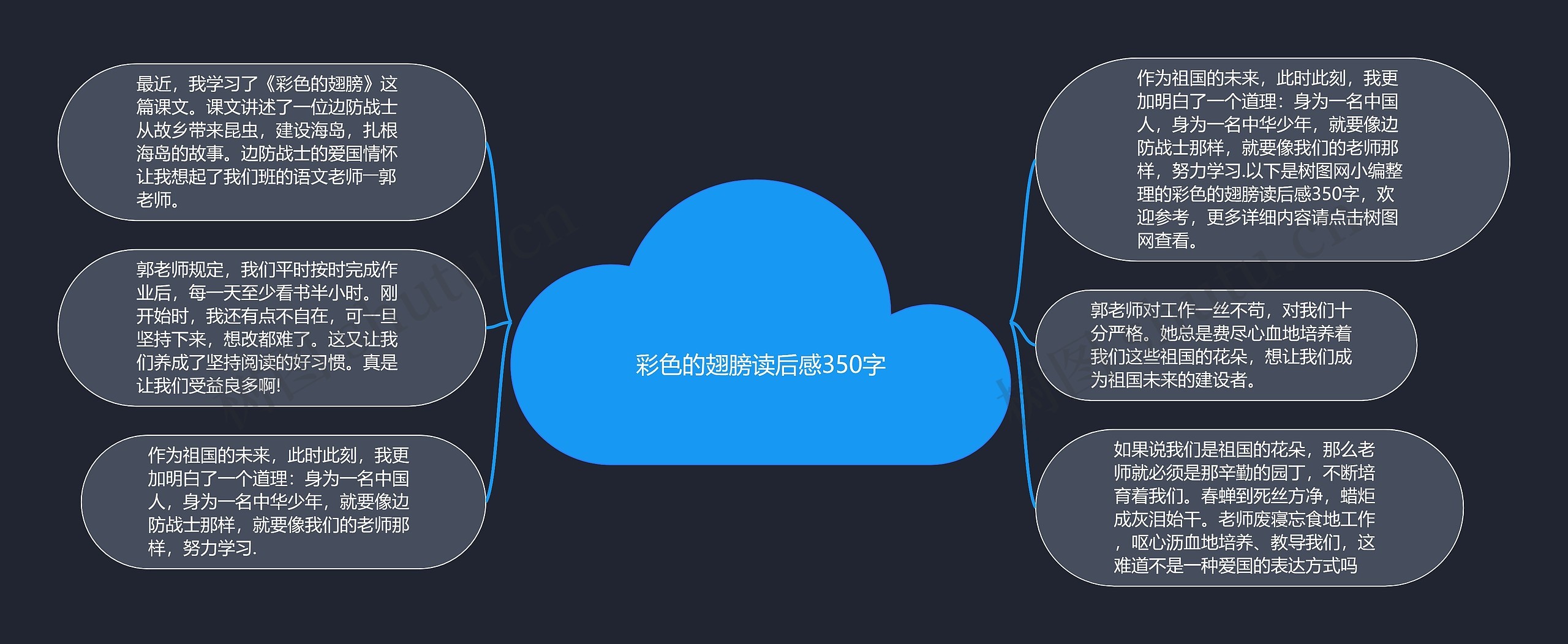 彩色的翅膀读后感350字思维导图