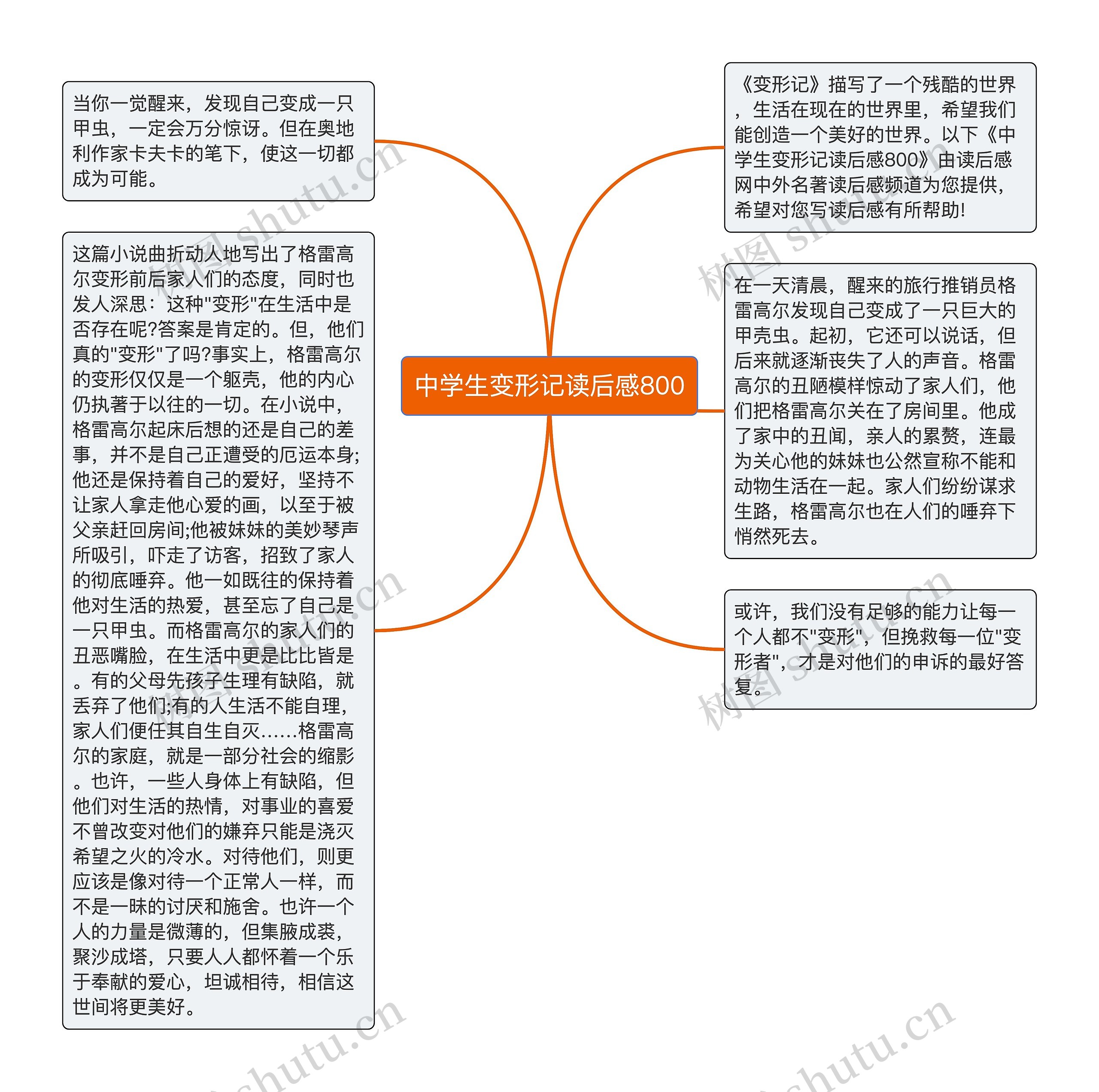 中学生变形记读后感800思维导图