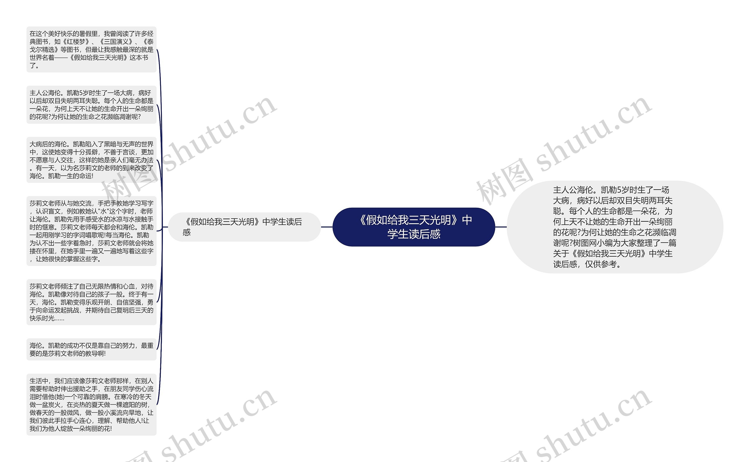 《假如给我三天光明》中学生读后感思维导图