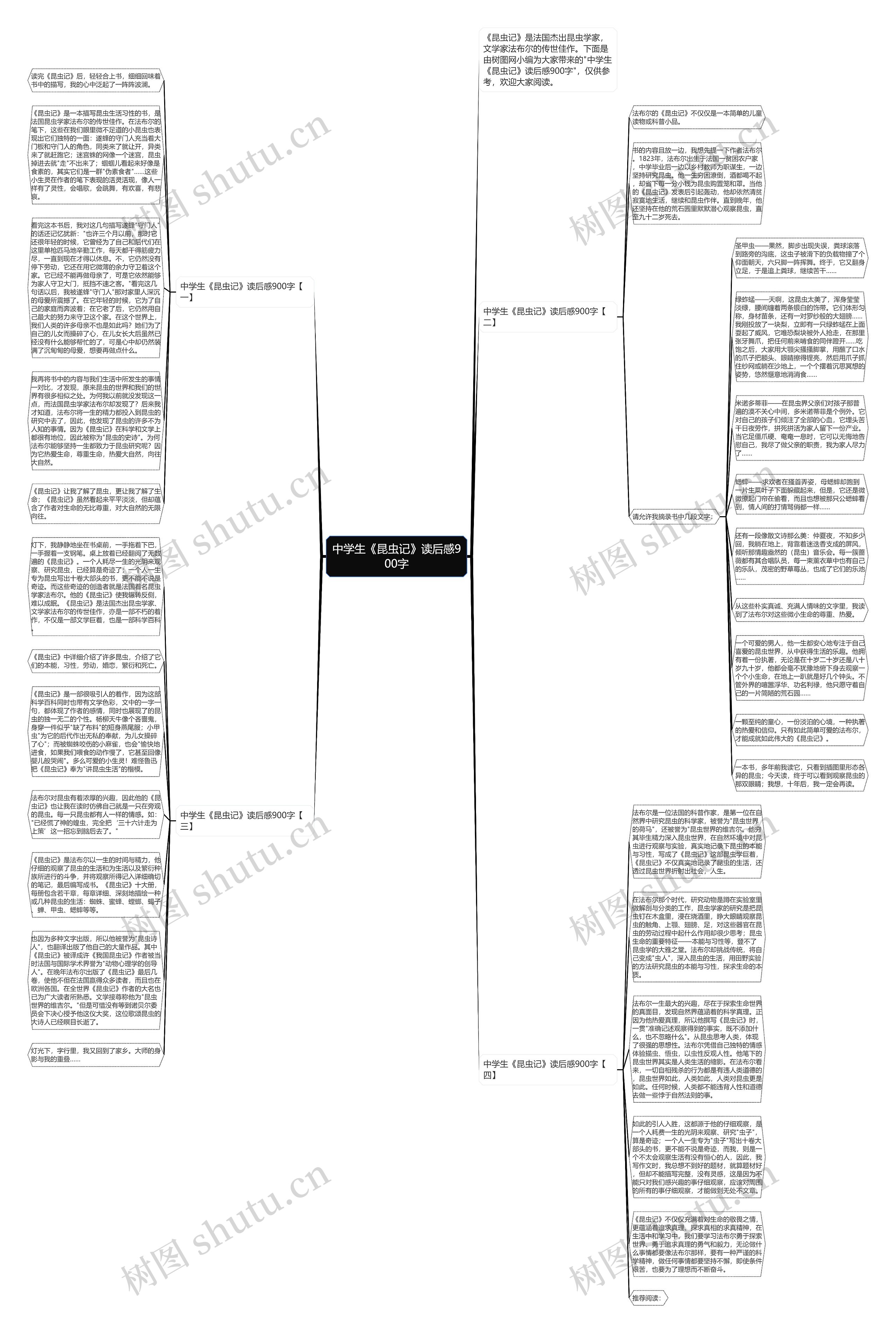 中学生《昆虫记》读后感900字思维导图