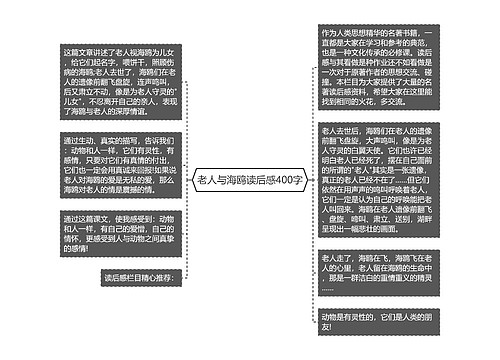老人与海鸥读后感400字