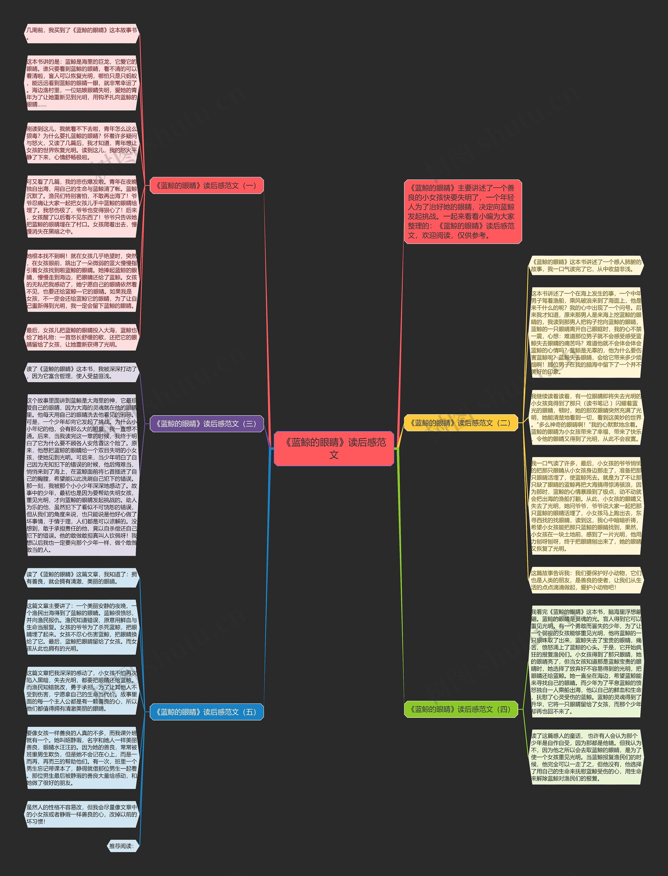 《蓝鲸的眼睛》读后感范文思维导图
