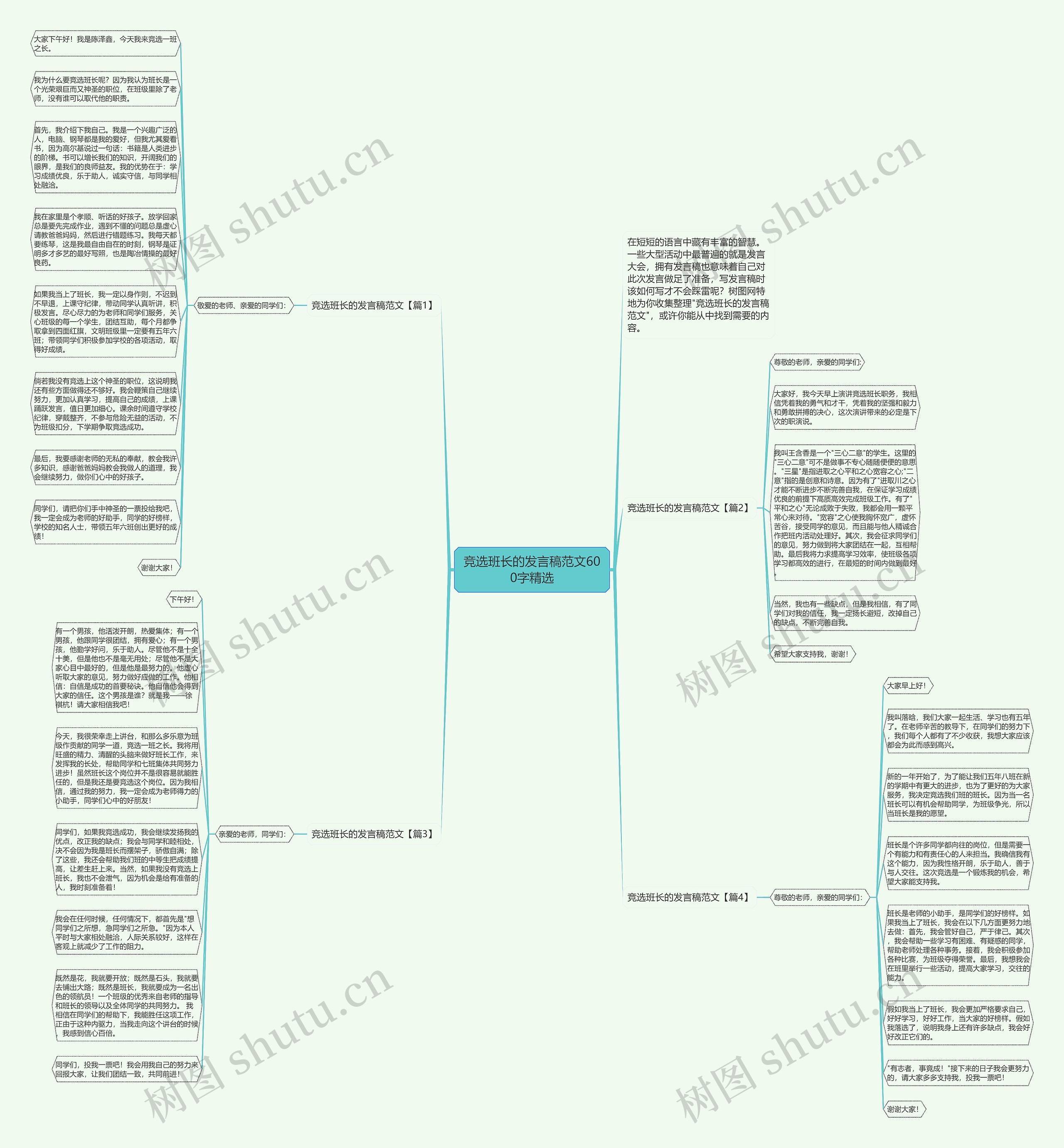 竞选班长的发言稿范文600字精选思维导图