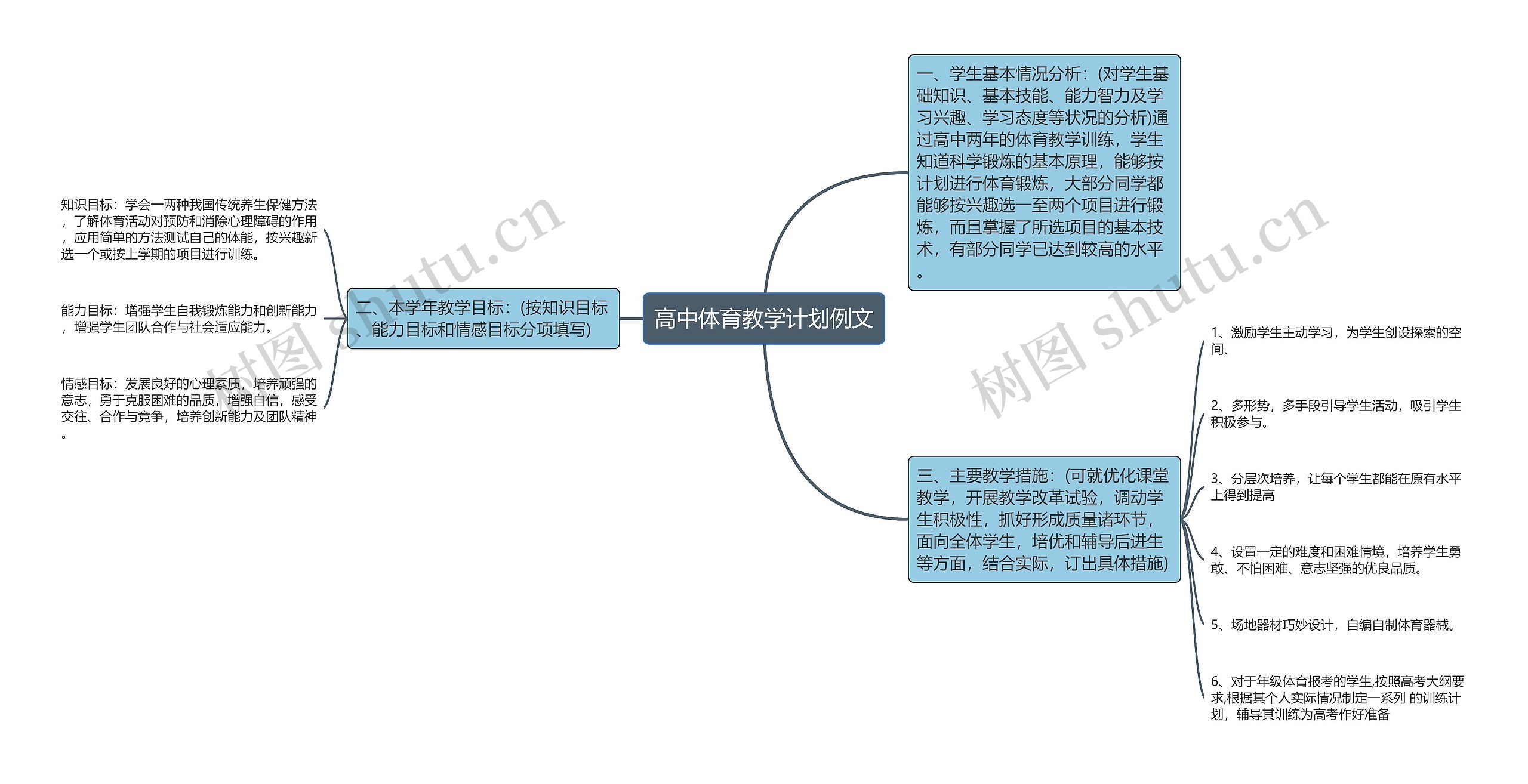 高中体育教学计划例文