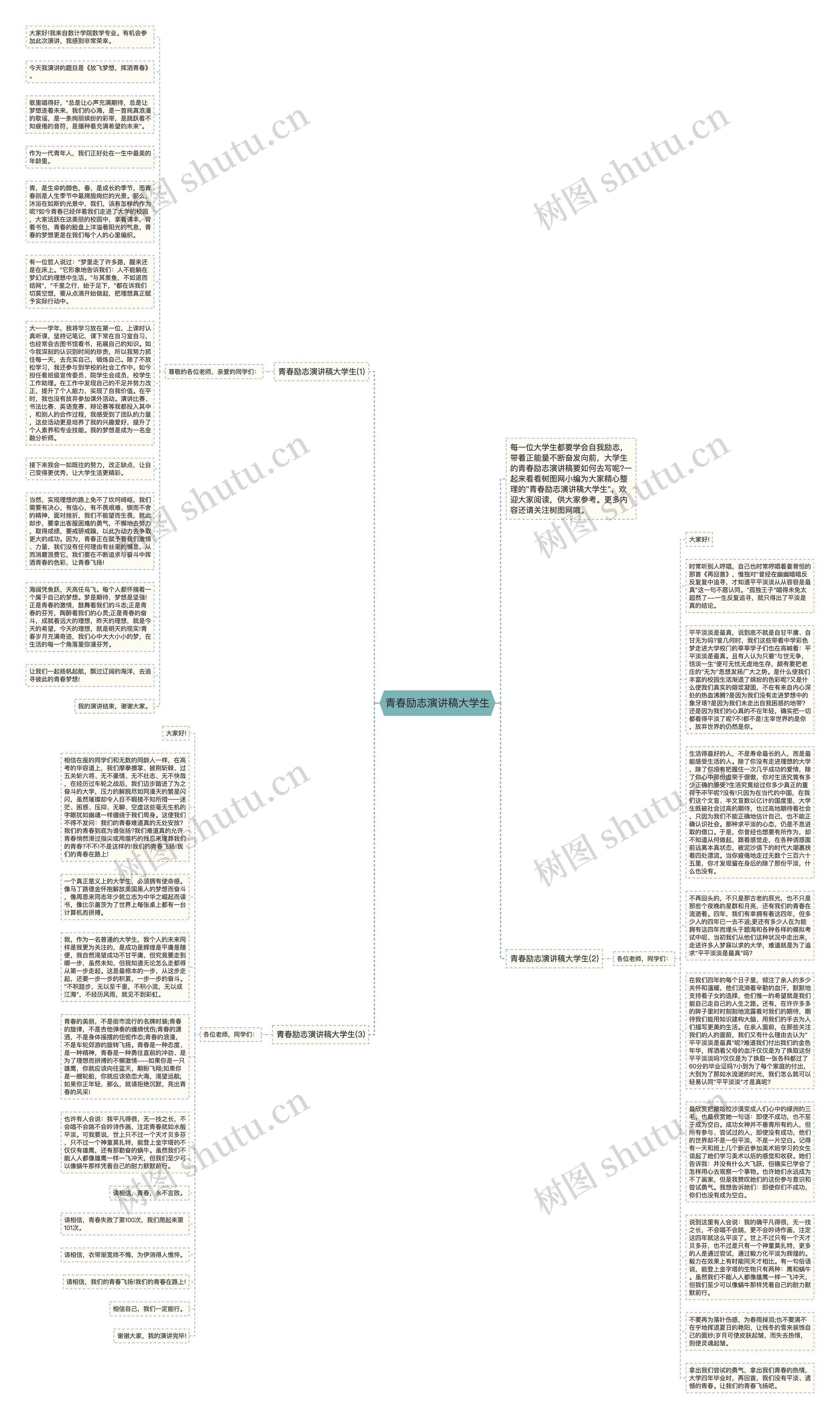 青春励志演讲稿大学生思维导图