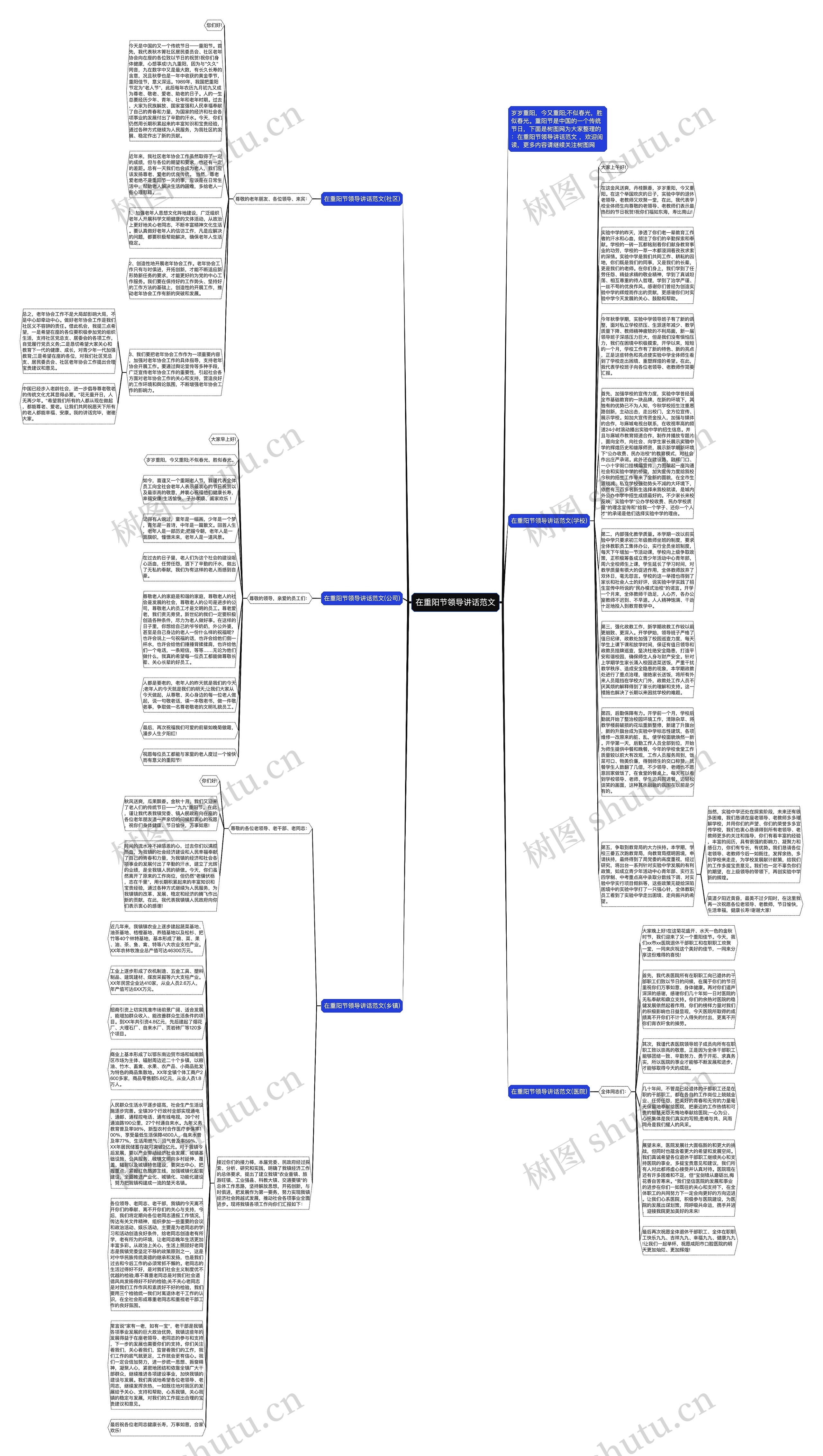 在重阳节领导讲话范文思维导图