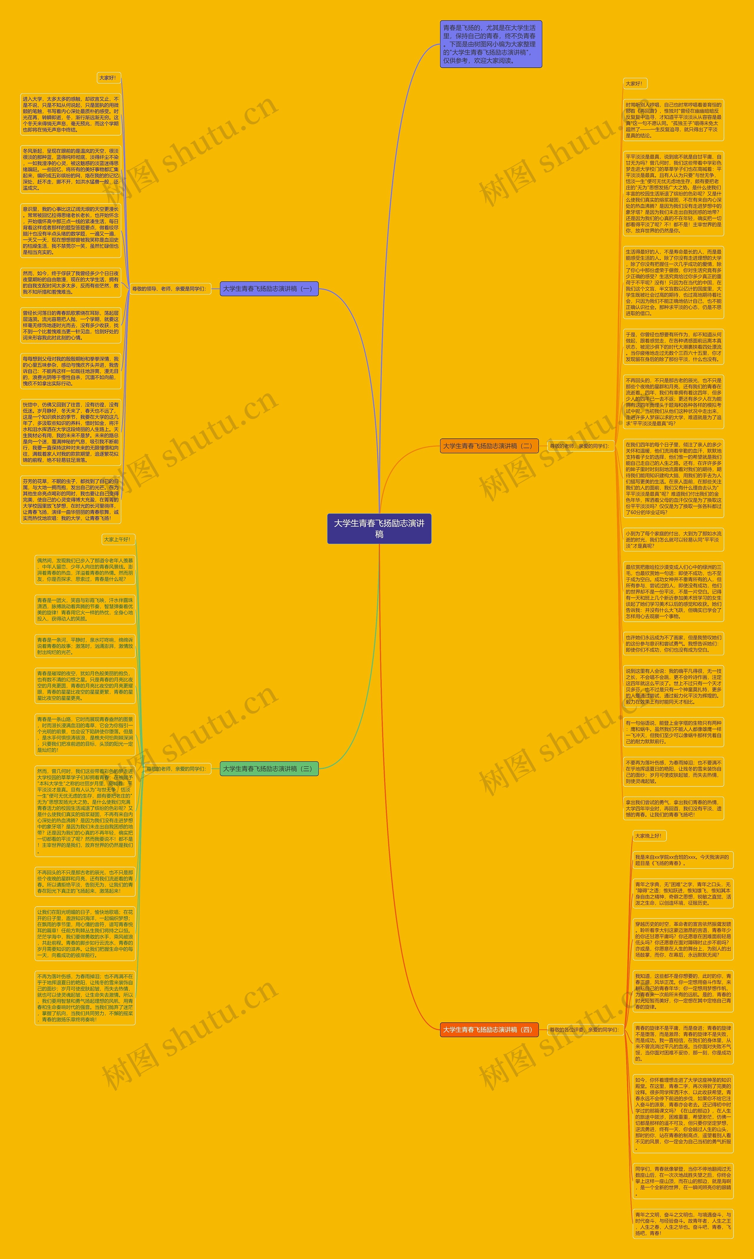 大学生青春飞扬励志演讲稿思维导图